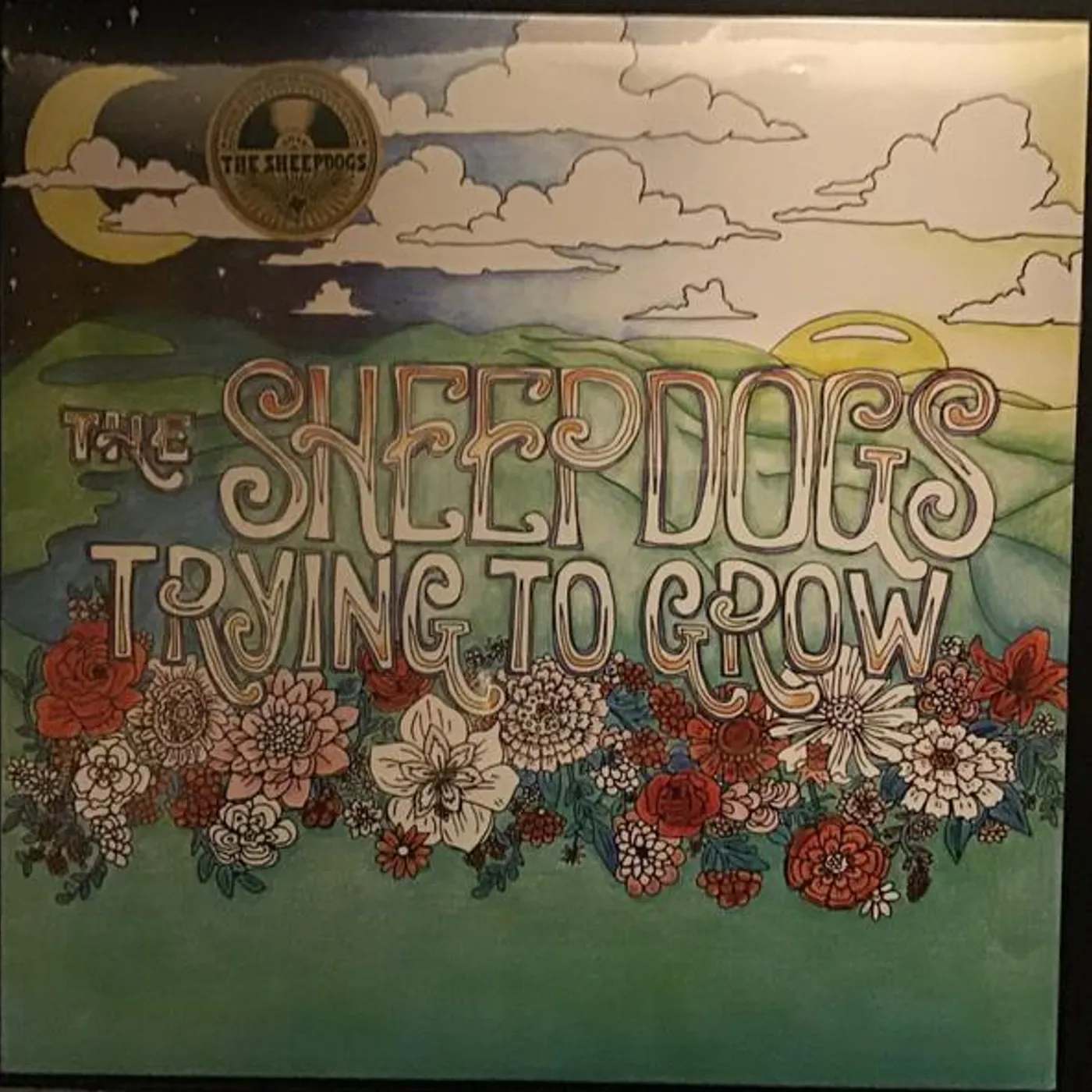 The Sheepdogs Trying To Grow Vinyl Record