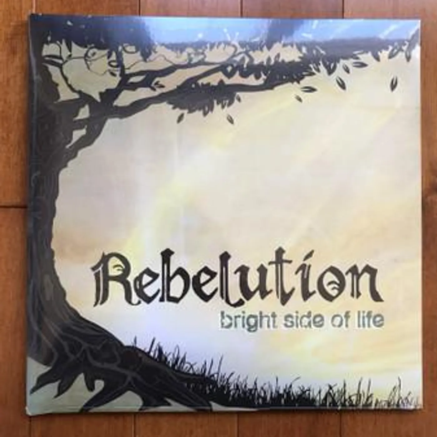 Rebelution Bright Side of Life Vinyl Record