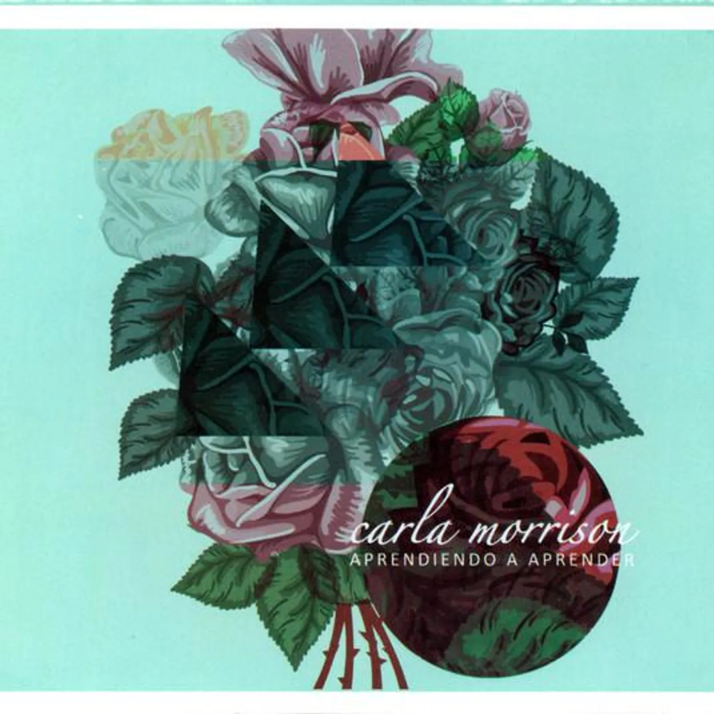 Carla Morrison APRENDIENDO A APRENDER CD