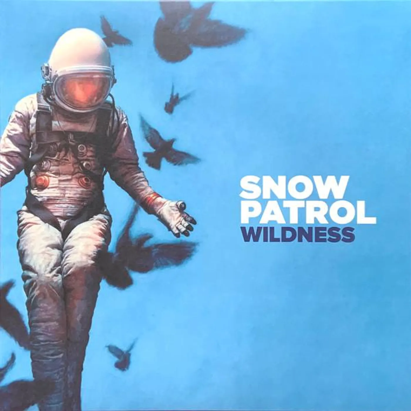 Snow Patrol WILDNESS (LP) Vinyl Record