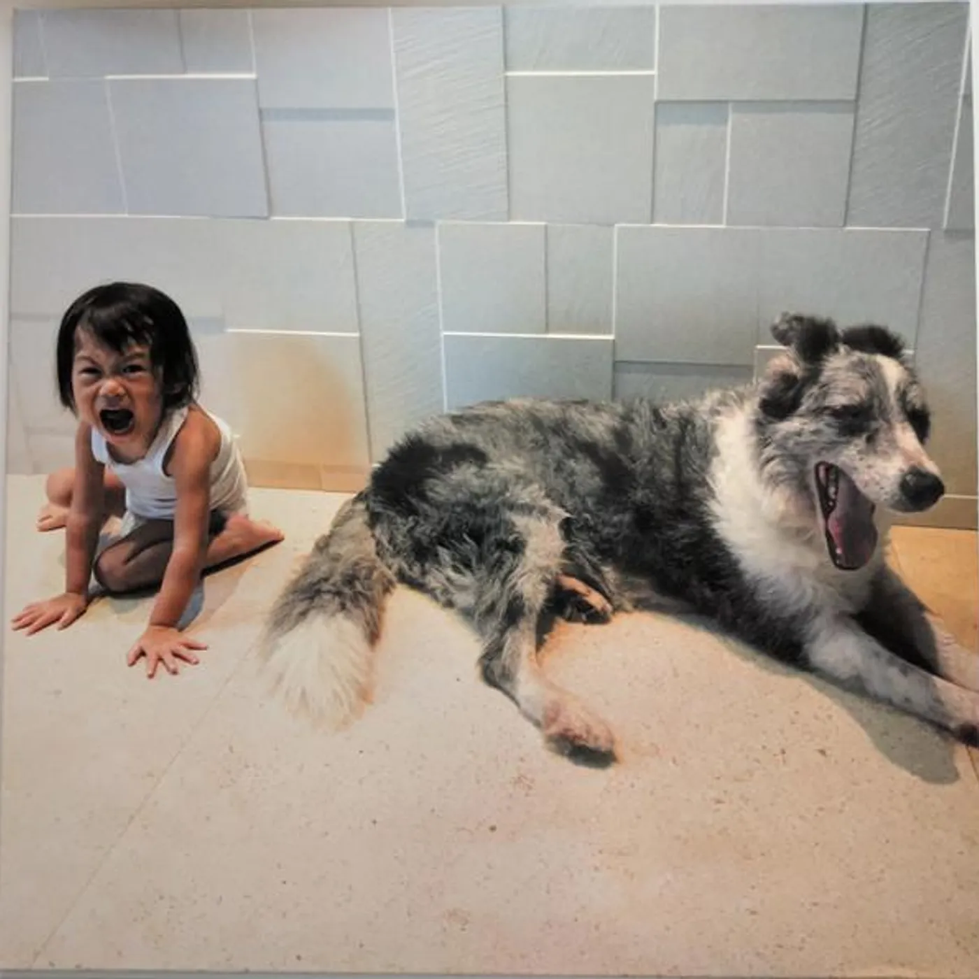 And So I Watch You from Afar ENDLESS SHIMMERING Vinyl Record