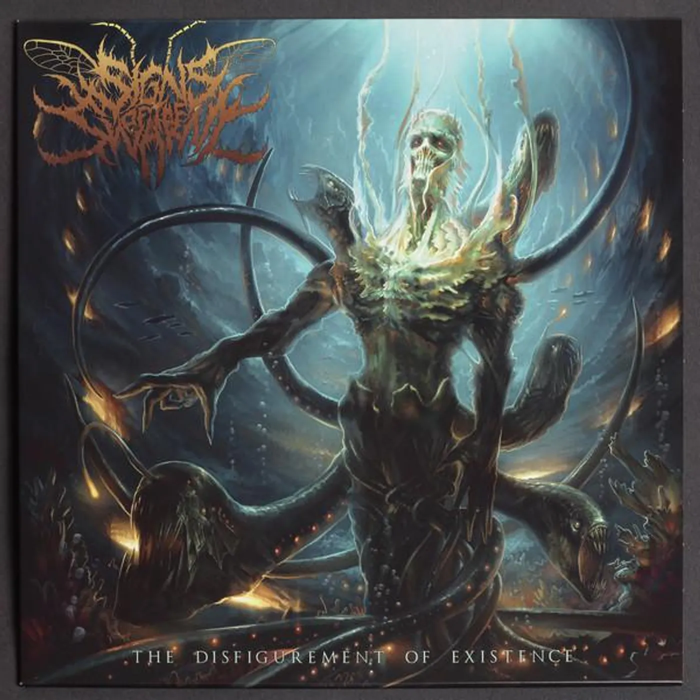 Signs of the Swarm Disfigurement Of Existence Vinyl Record
