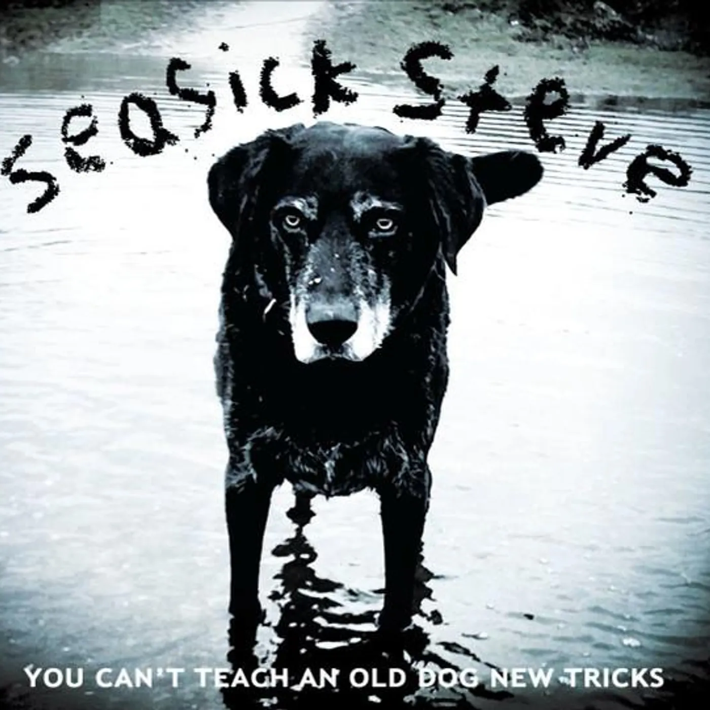 Seasick Steve YOU CAN'T TEACH AN OLD DO Vinyl Record