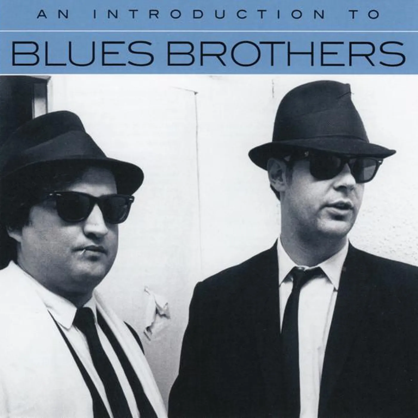 Blues & Brothers AN INTRODUCTION TO CD