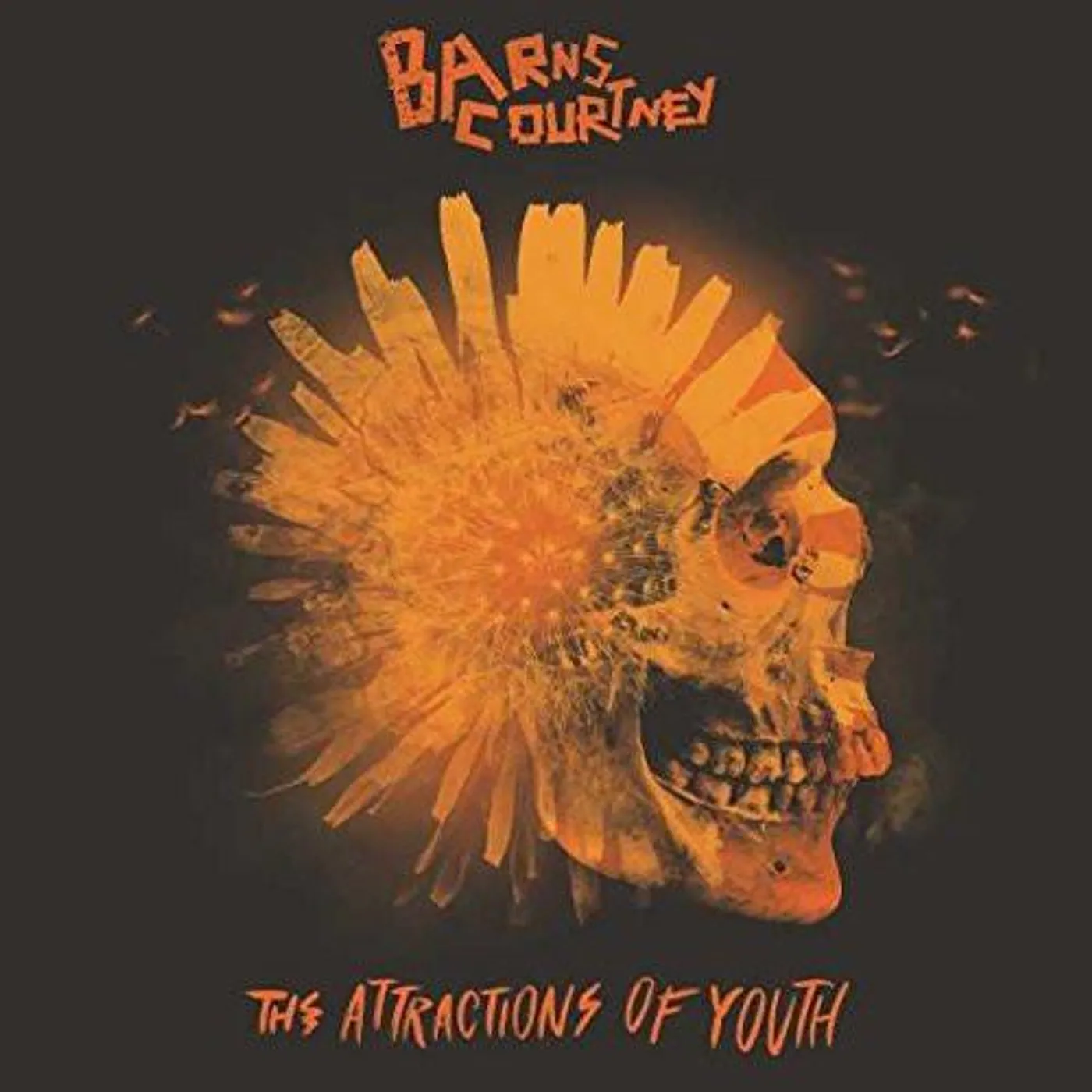 Barns Courtney ATTRACTIONS OF YOUTH CD