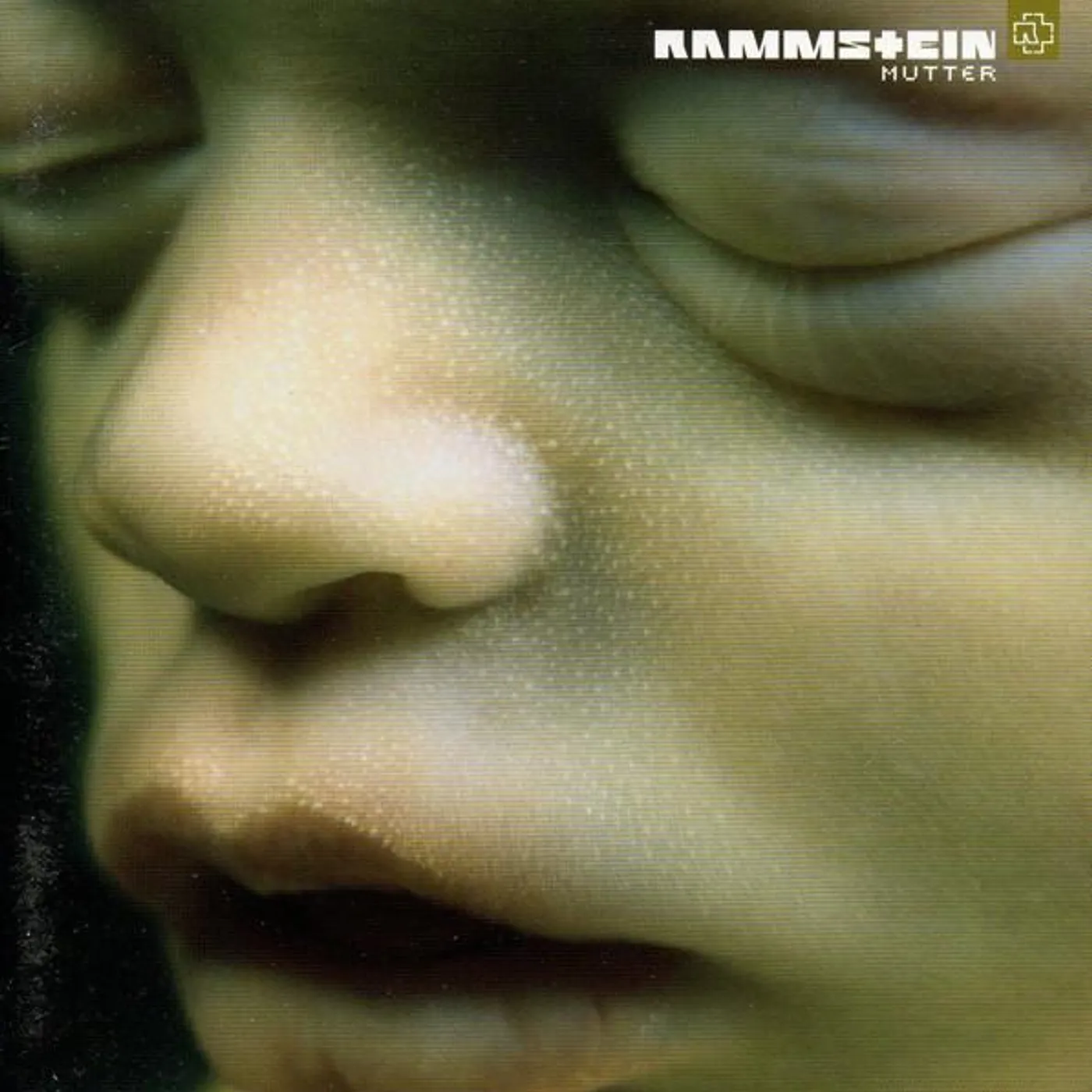 Rammstein MUTTER (LIMITED 2LP) Vinyl Record