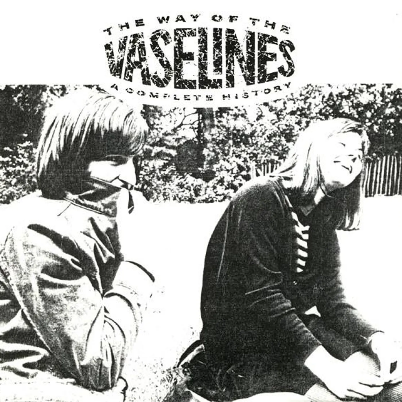 WAY OF THE VASELINES CD