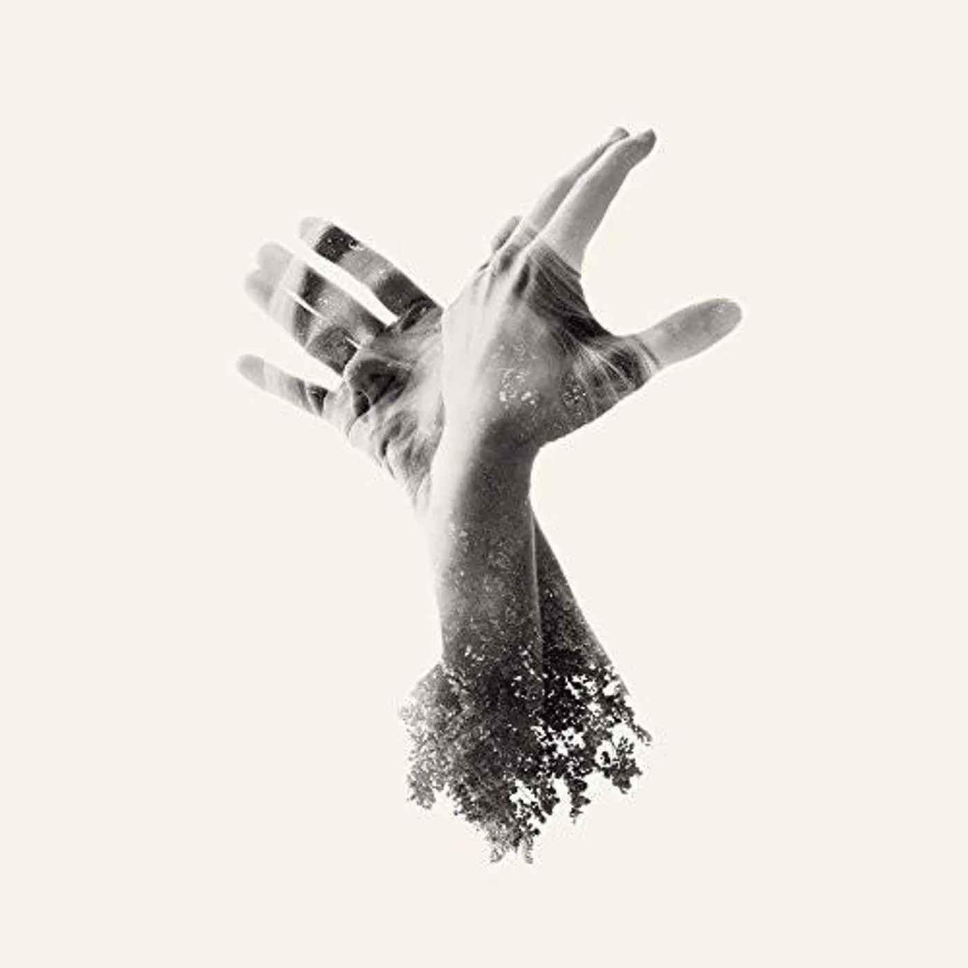 The Last Dinosaur NOTHING CD