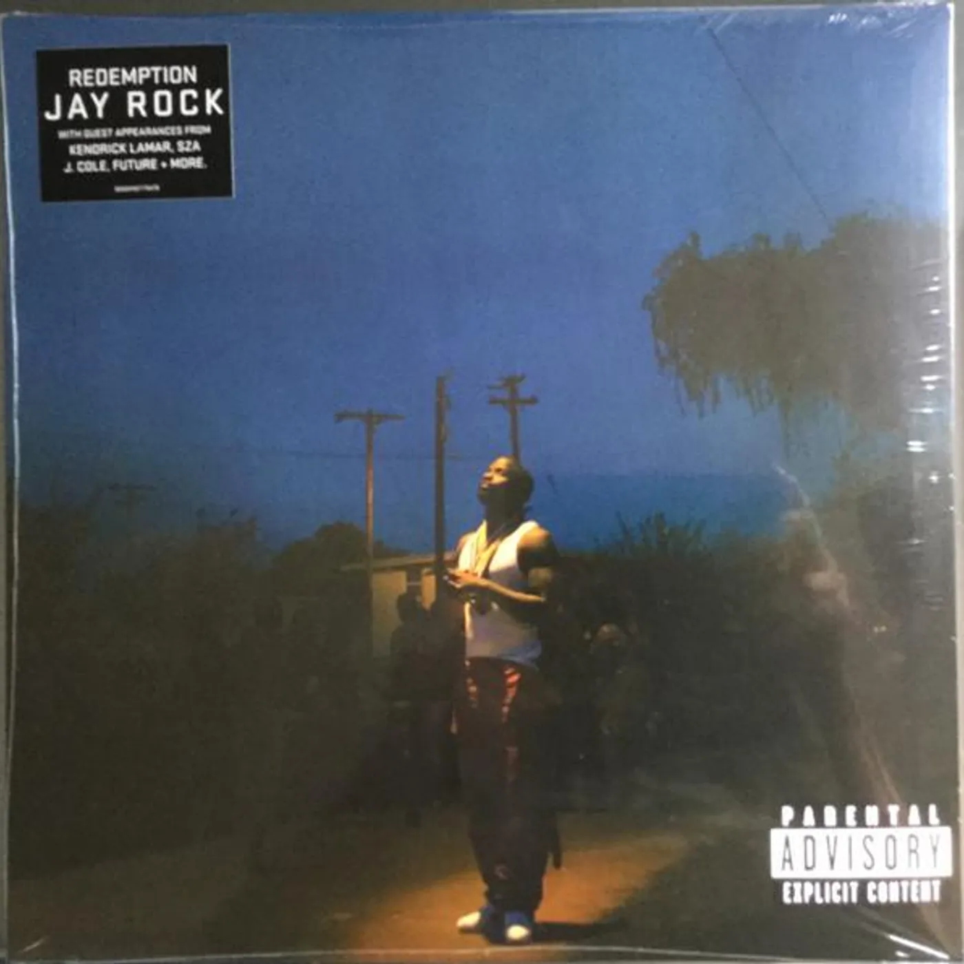 Jay Rock Redemption Vinyl Record