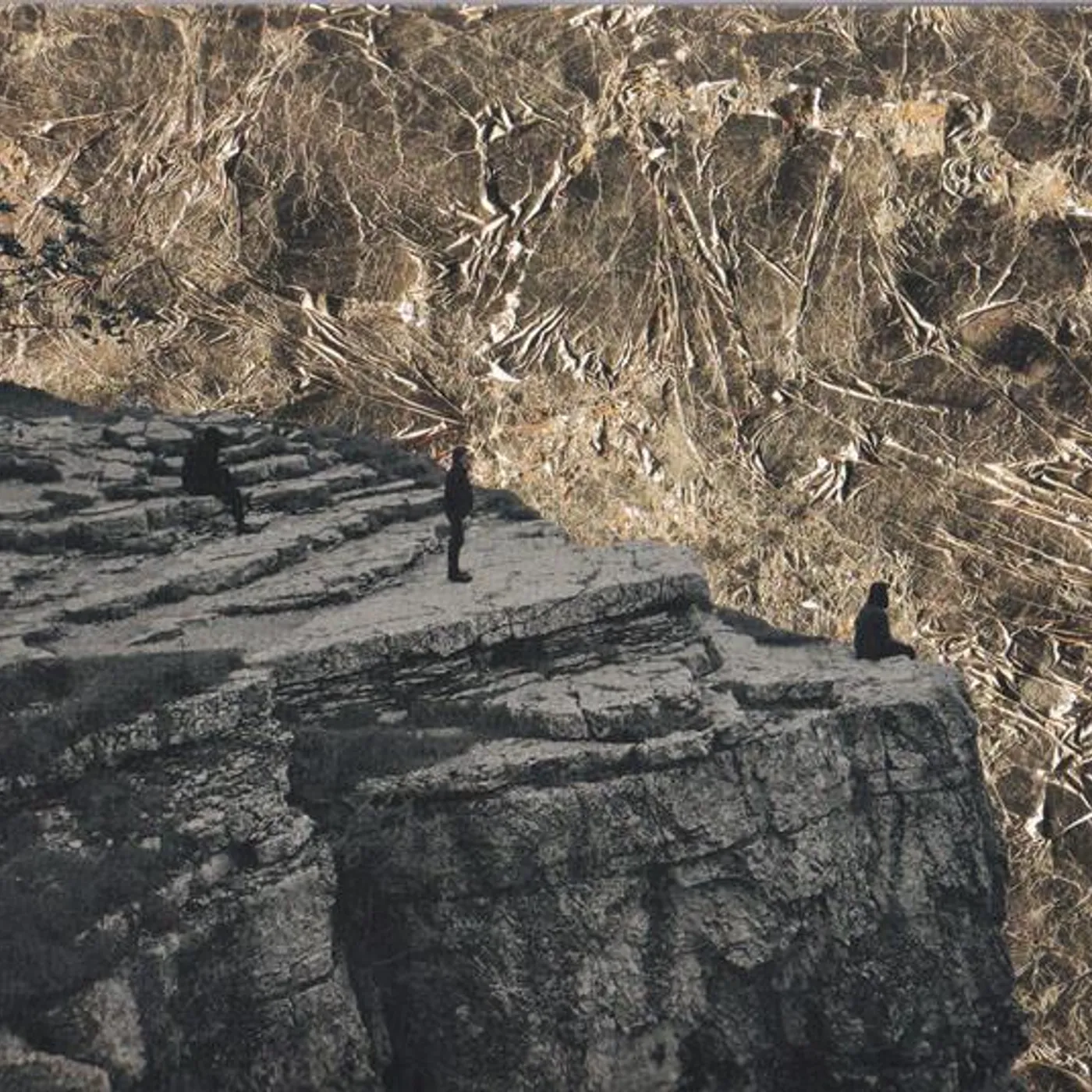 Esben and the Witch NOWHERE CD