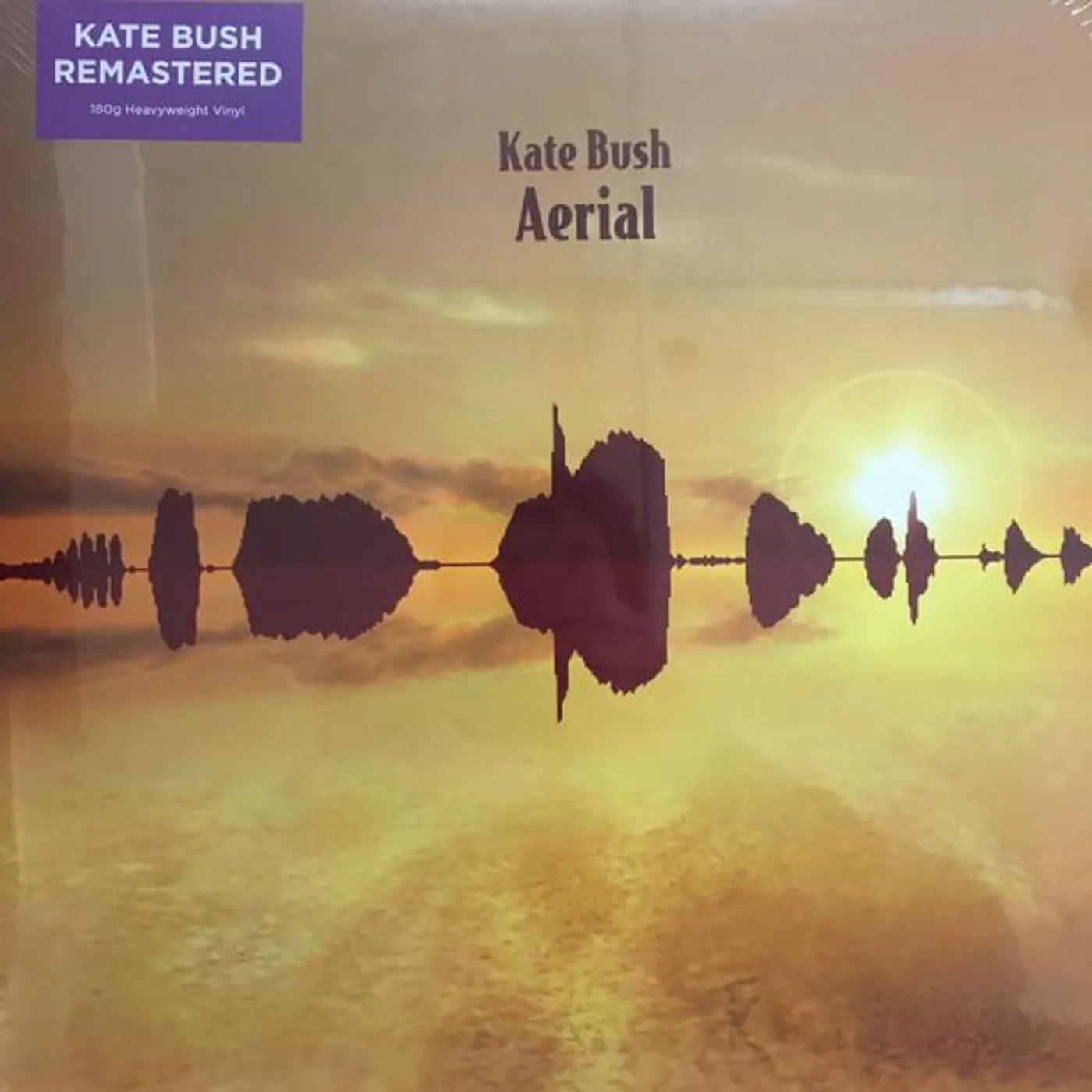 Kate Bush AERIAL Vinyl Record