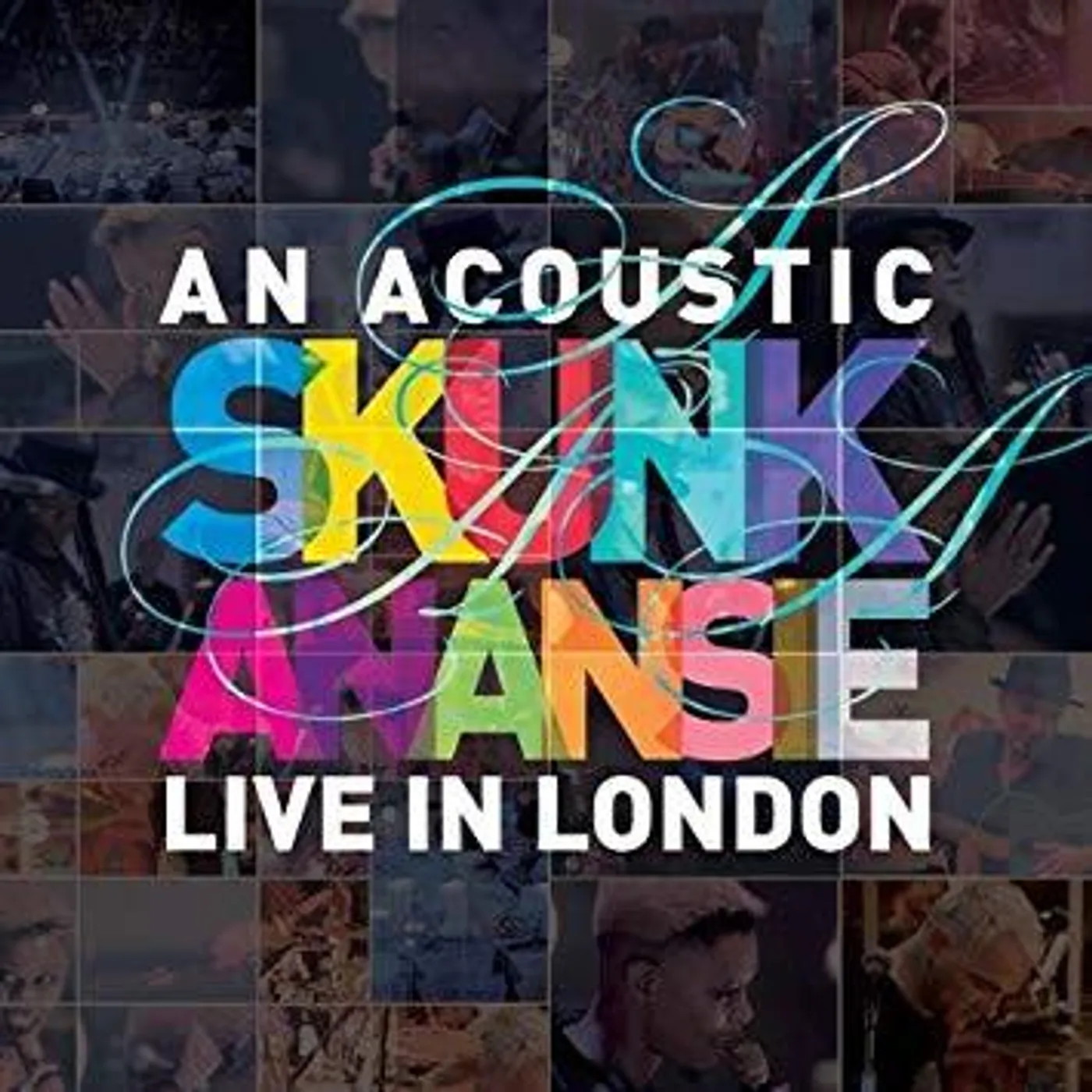 AN ACOUSTIC SKUNK ANANSIE CD