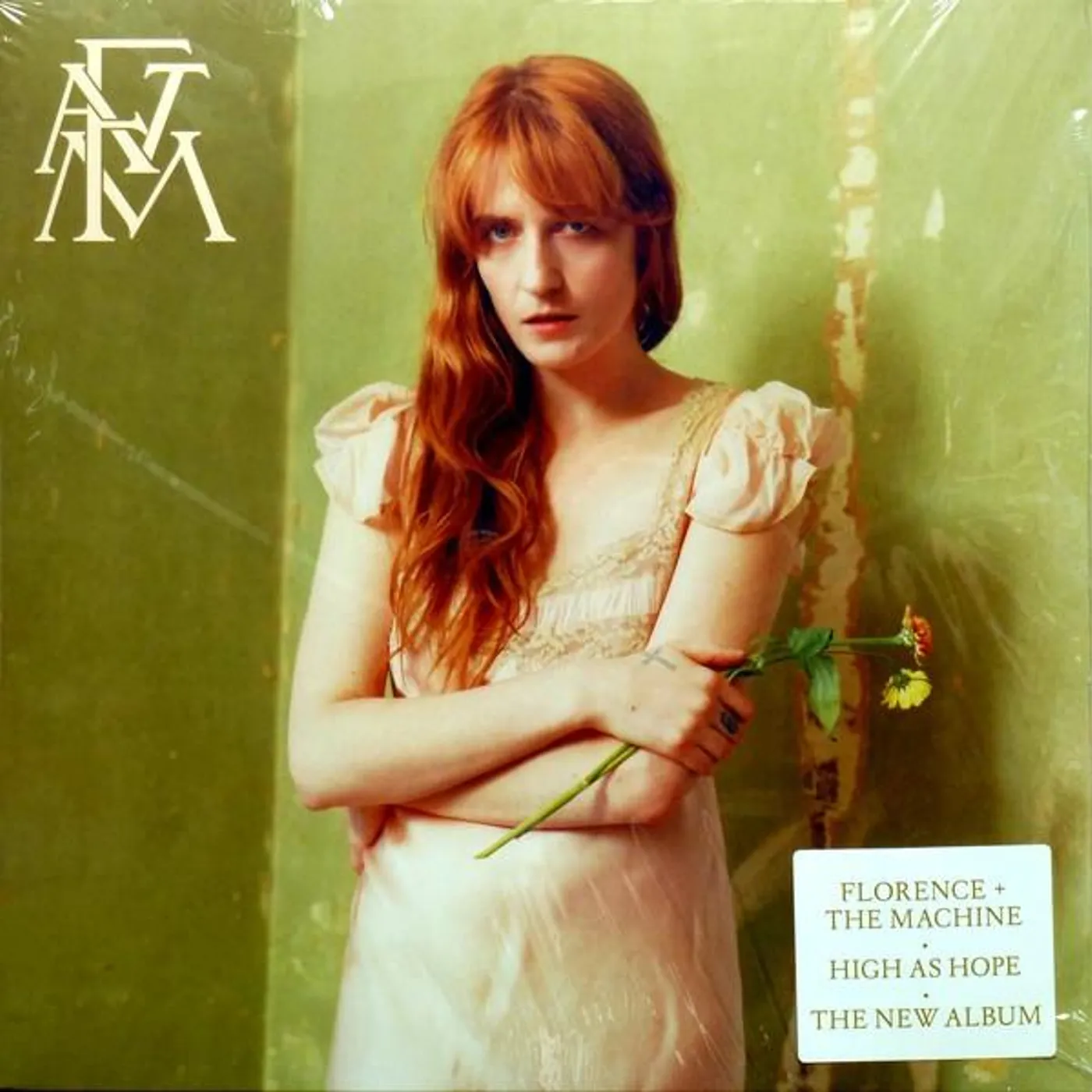 Florence + The Machine HIGH AS HOPE (X) Vinyl Record