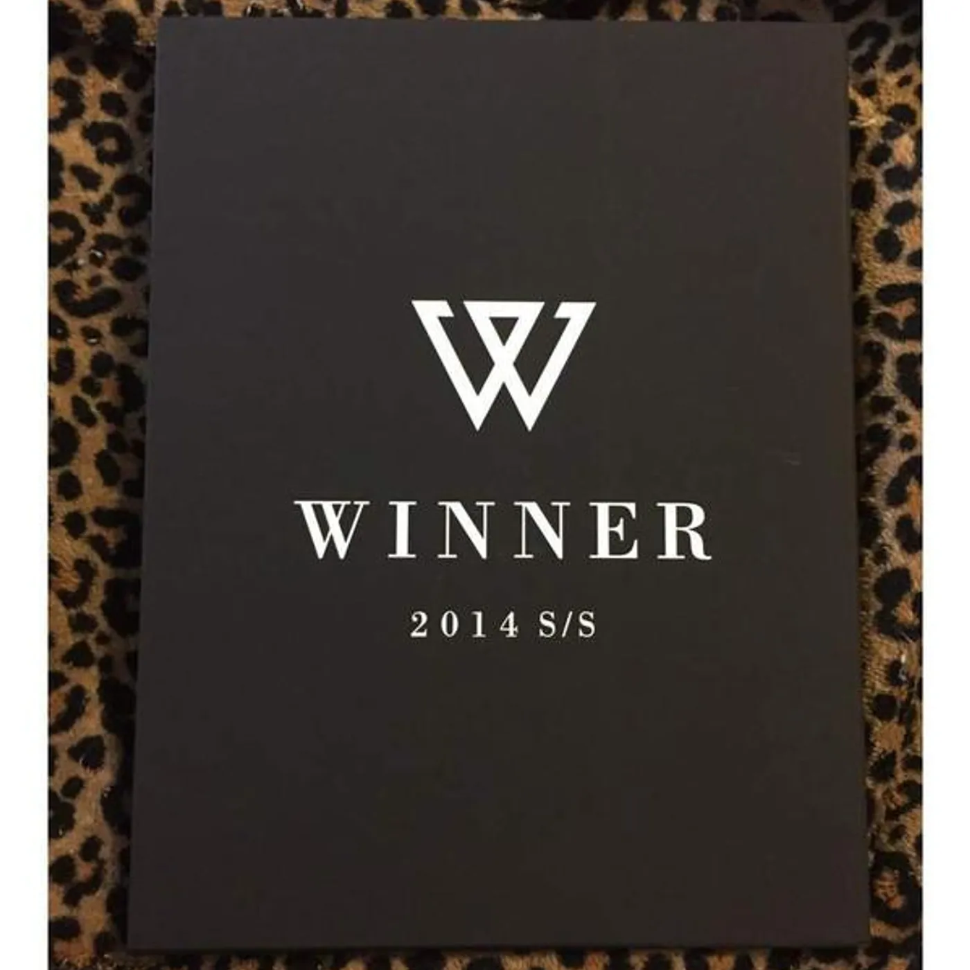 WINNER (LUNCHING EDITION) CD