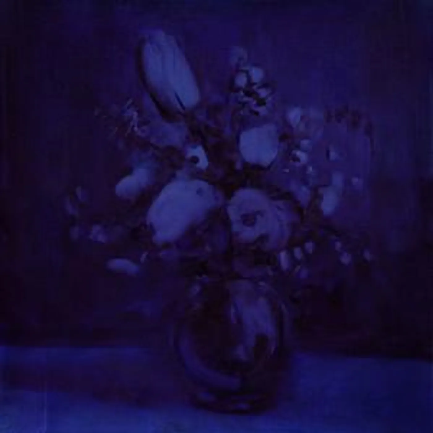 Deaf Wish Lithium Zion Vinyl Record