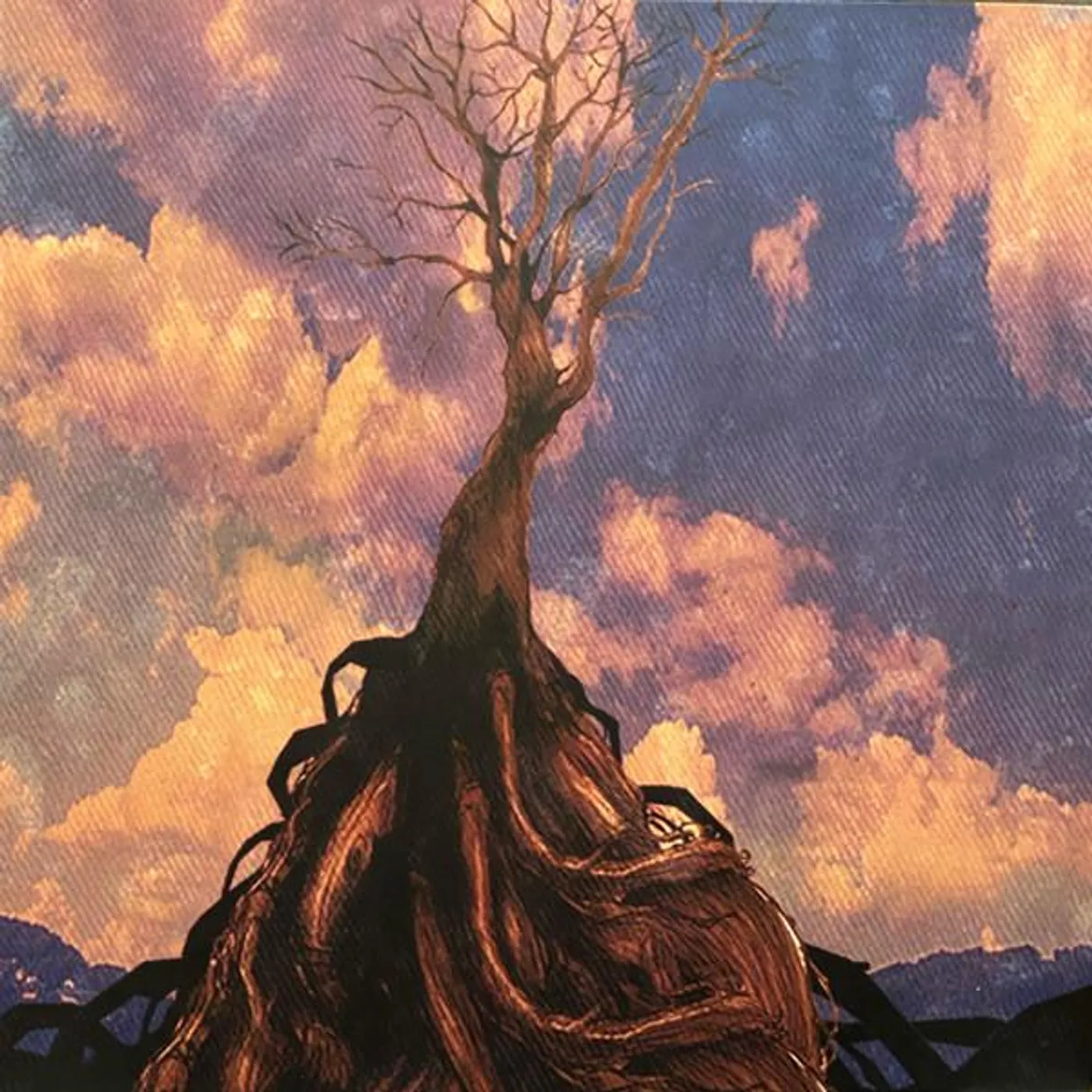 Murder By Death In Bocca Al Lupo Vinyl Record