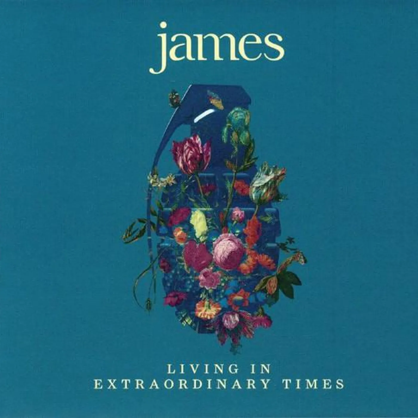 James LIVING IN EXTRAORDINARY TIMES CD