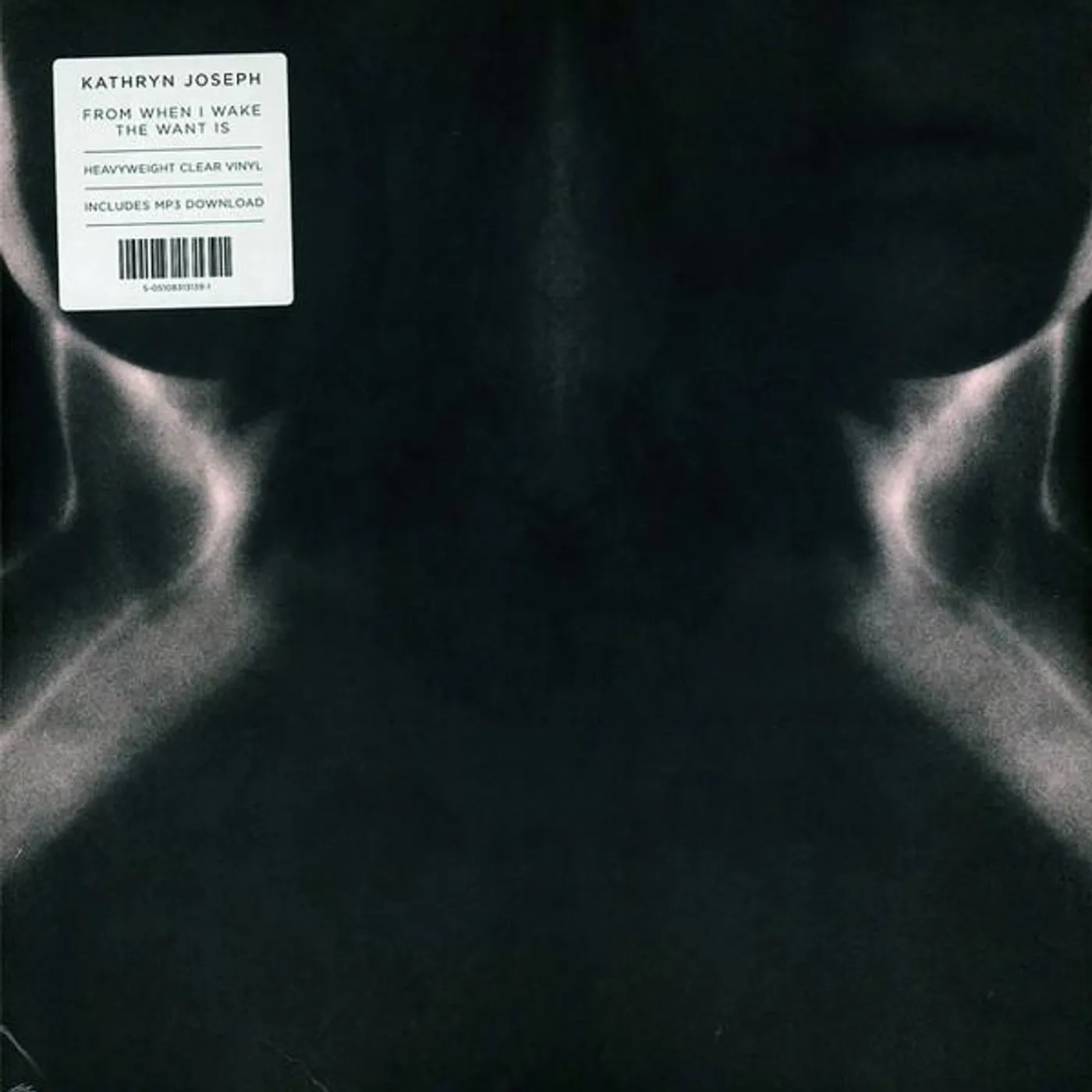 Kathryn Joseph FROM WHEN I WAKE THE WANT IS Vinyl Record