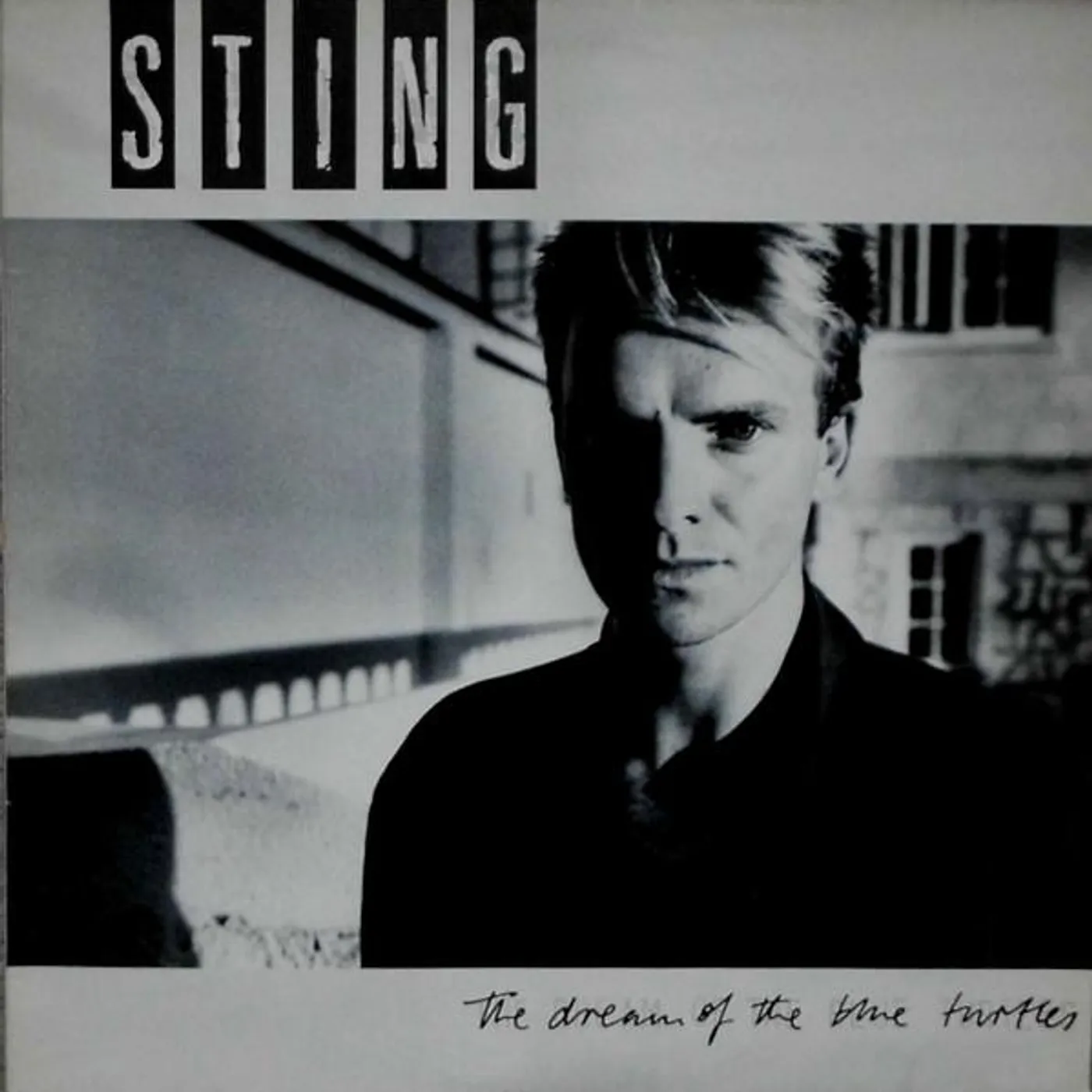 Sting DREAM OF THE BLUE TURTLES Vinyl Record