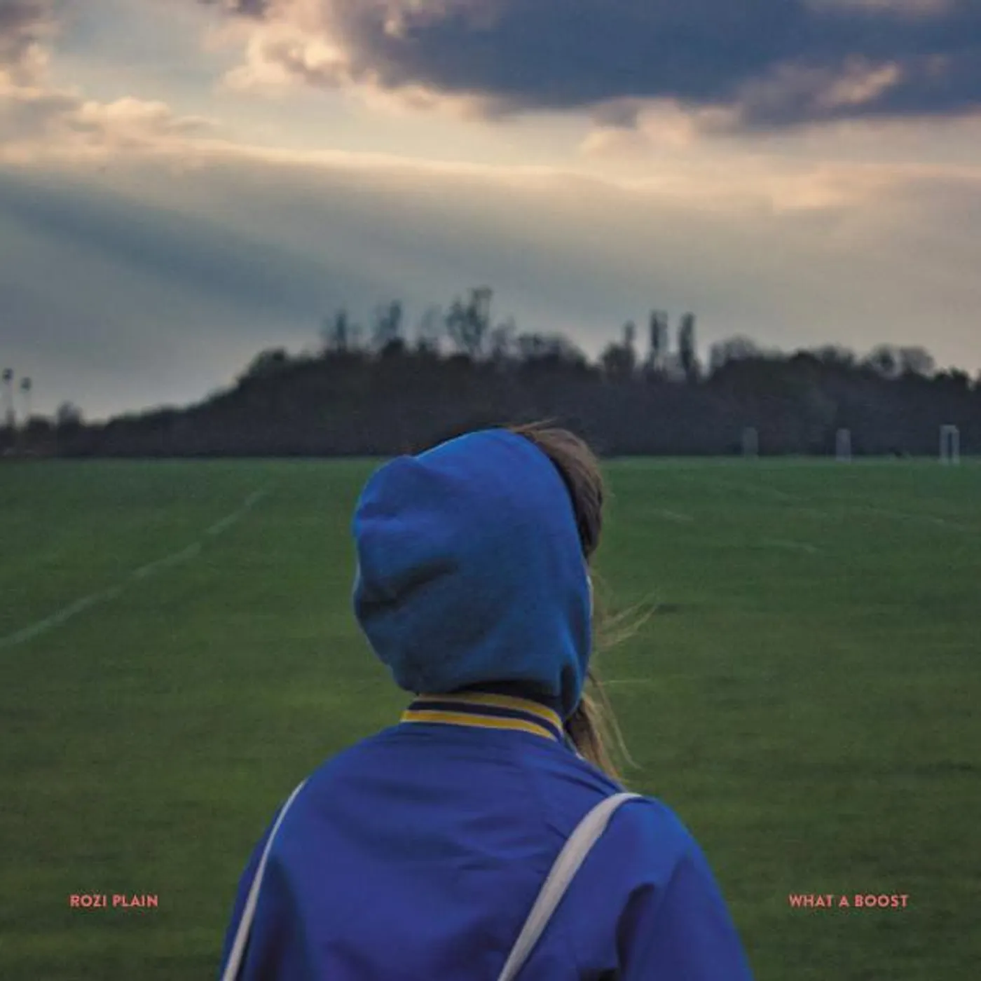 Rozi Plain WHAT A BOOST CD