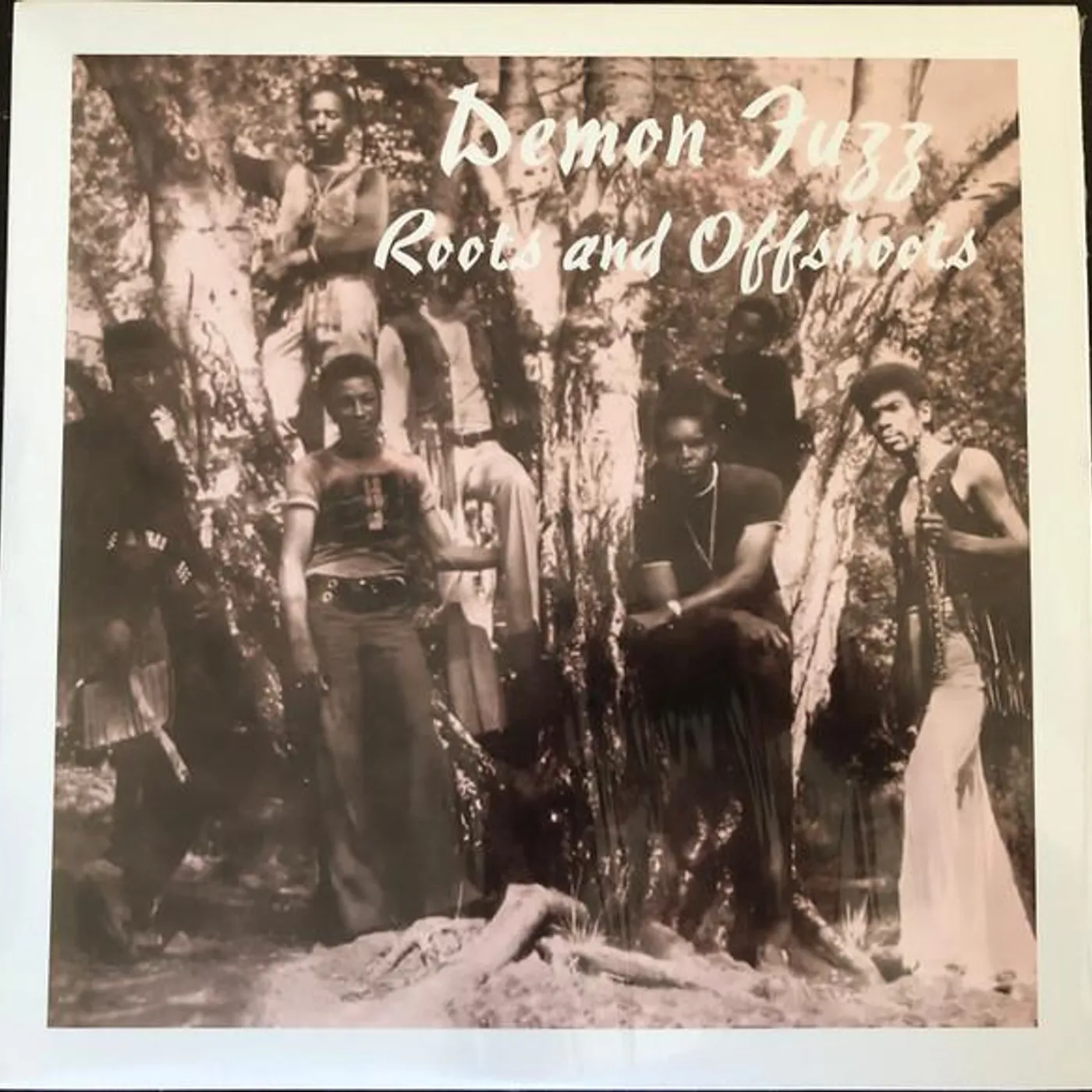Demon Fuzz ROOTS & OFFSHOOTS Vinyl Record