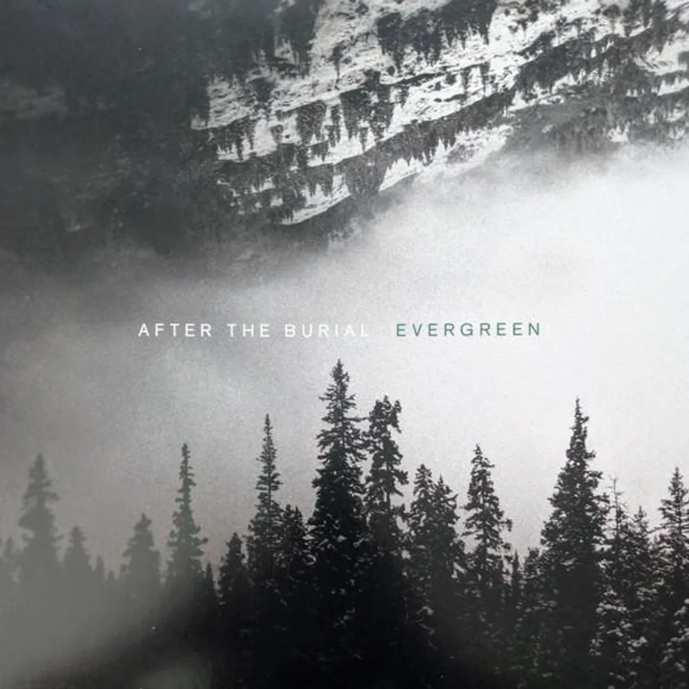 After The Burial Evergreen Vinyl Record