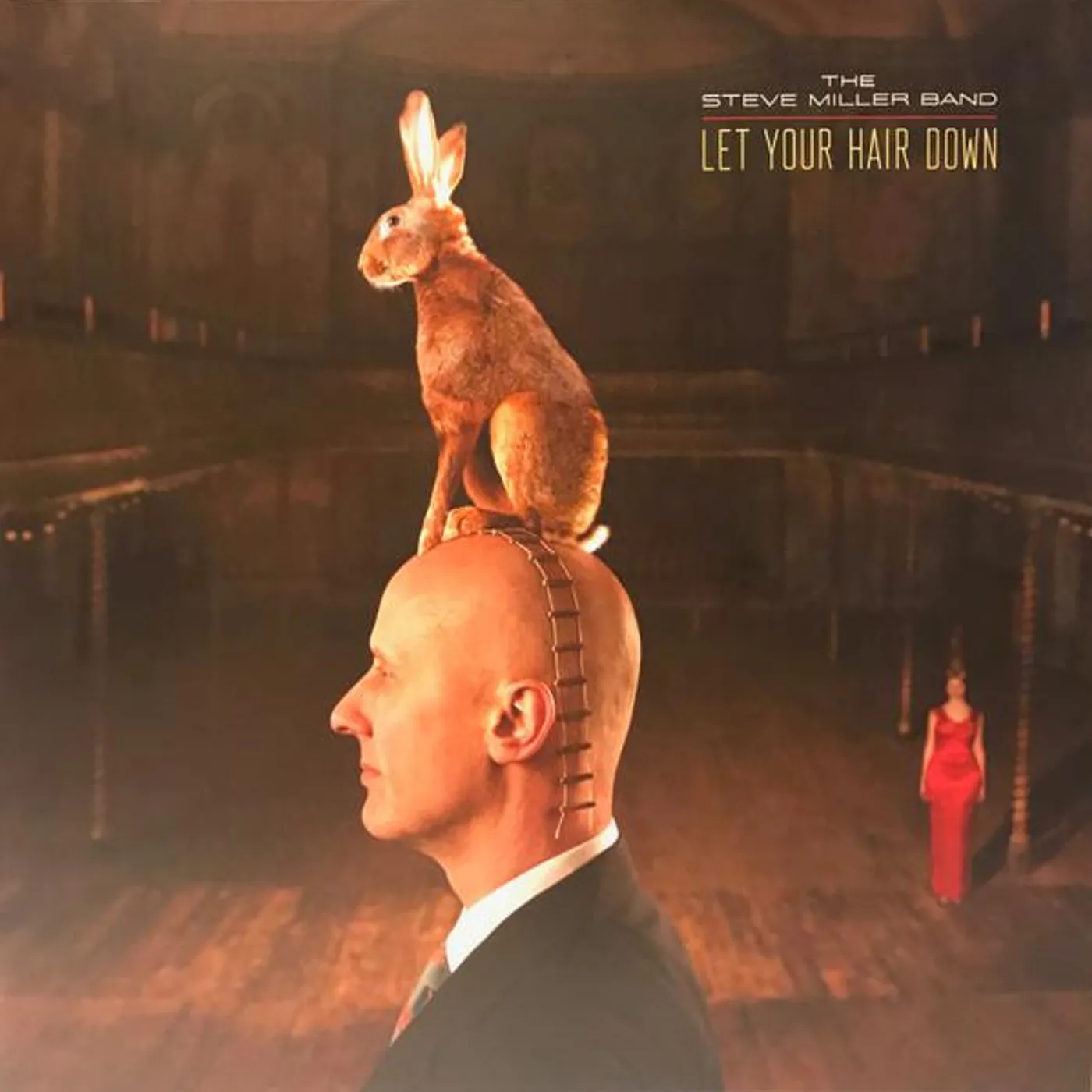 Steve Miller Band LET YOUR HAIR DOWN Vinyl Record