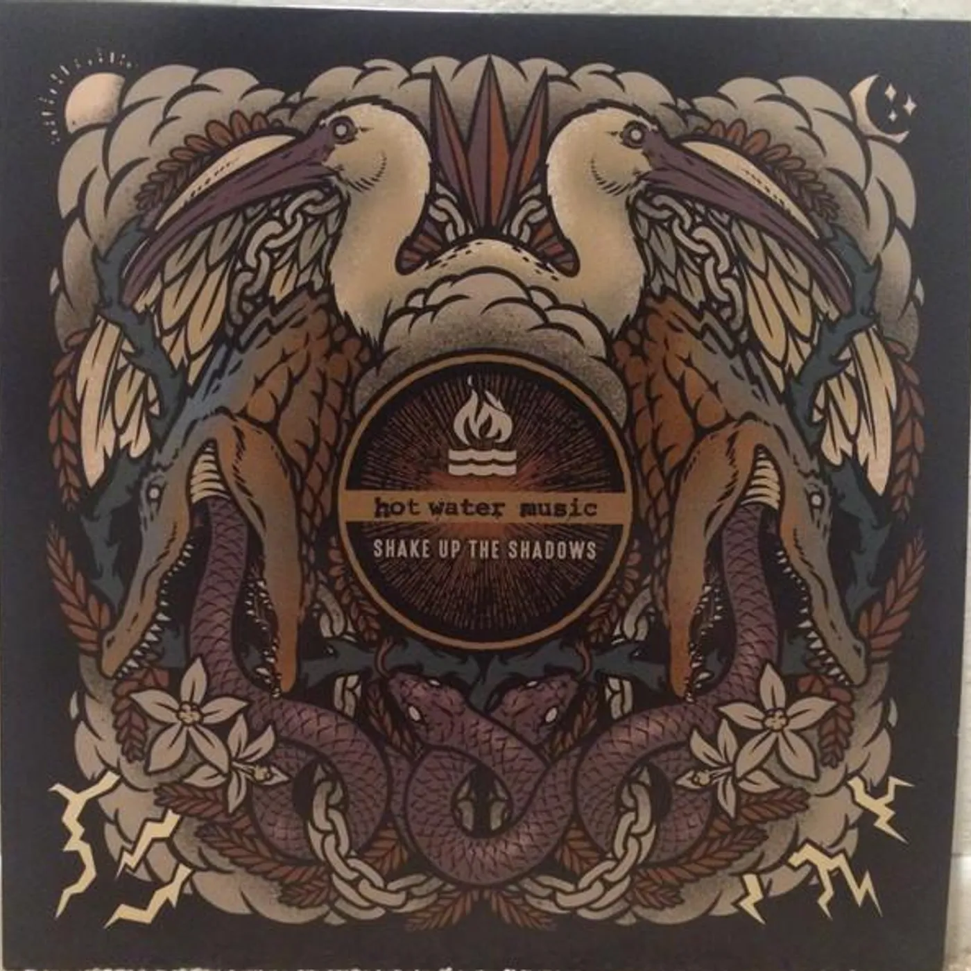 Hot Water Music Shake Up The Shadows Vinyl Record