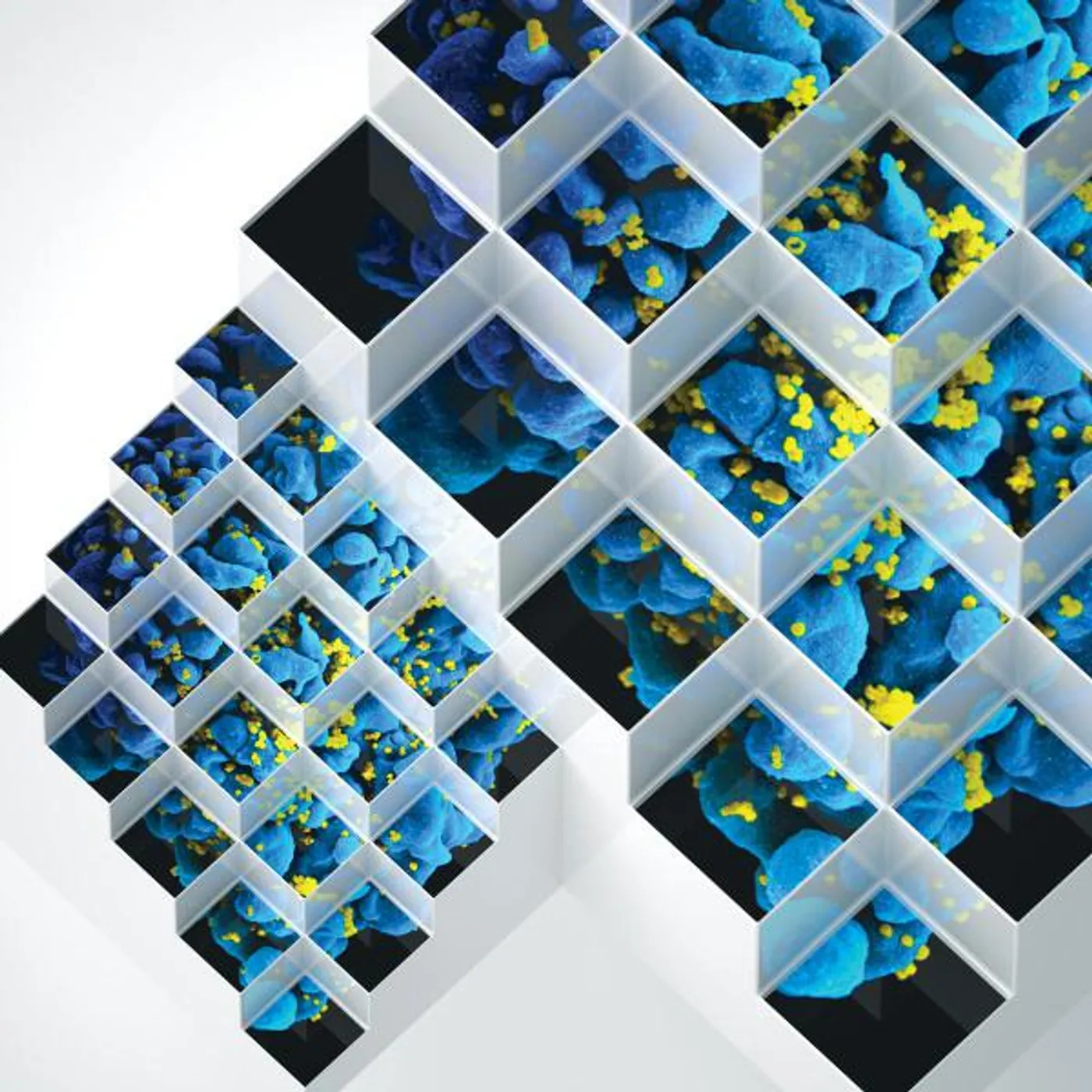 Bluetech Liquid Geometries in Dub Vinyl Record