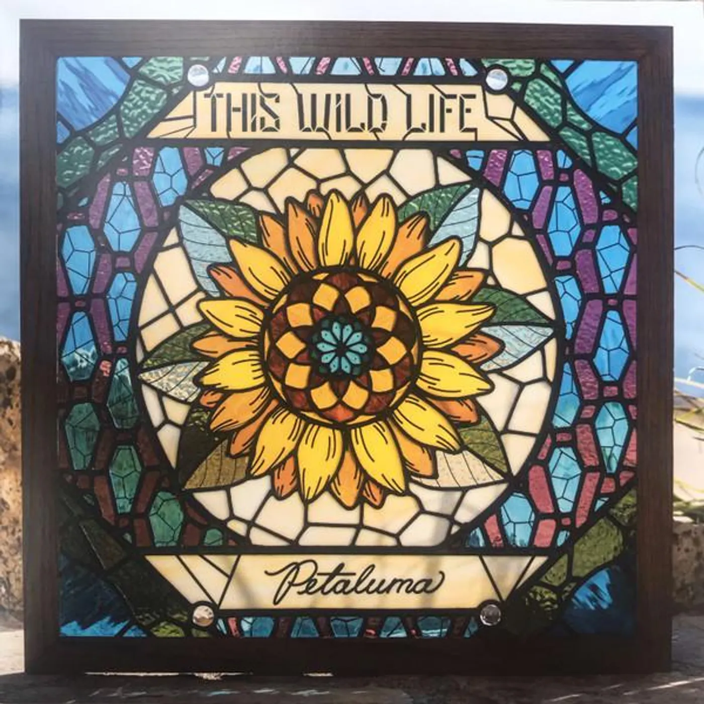 This Wild Life Petaluma Vinyl Record