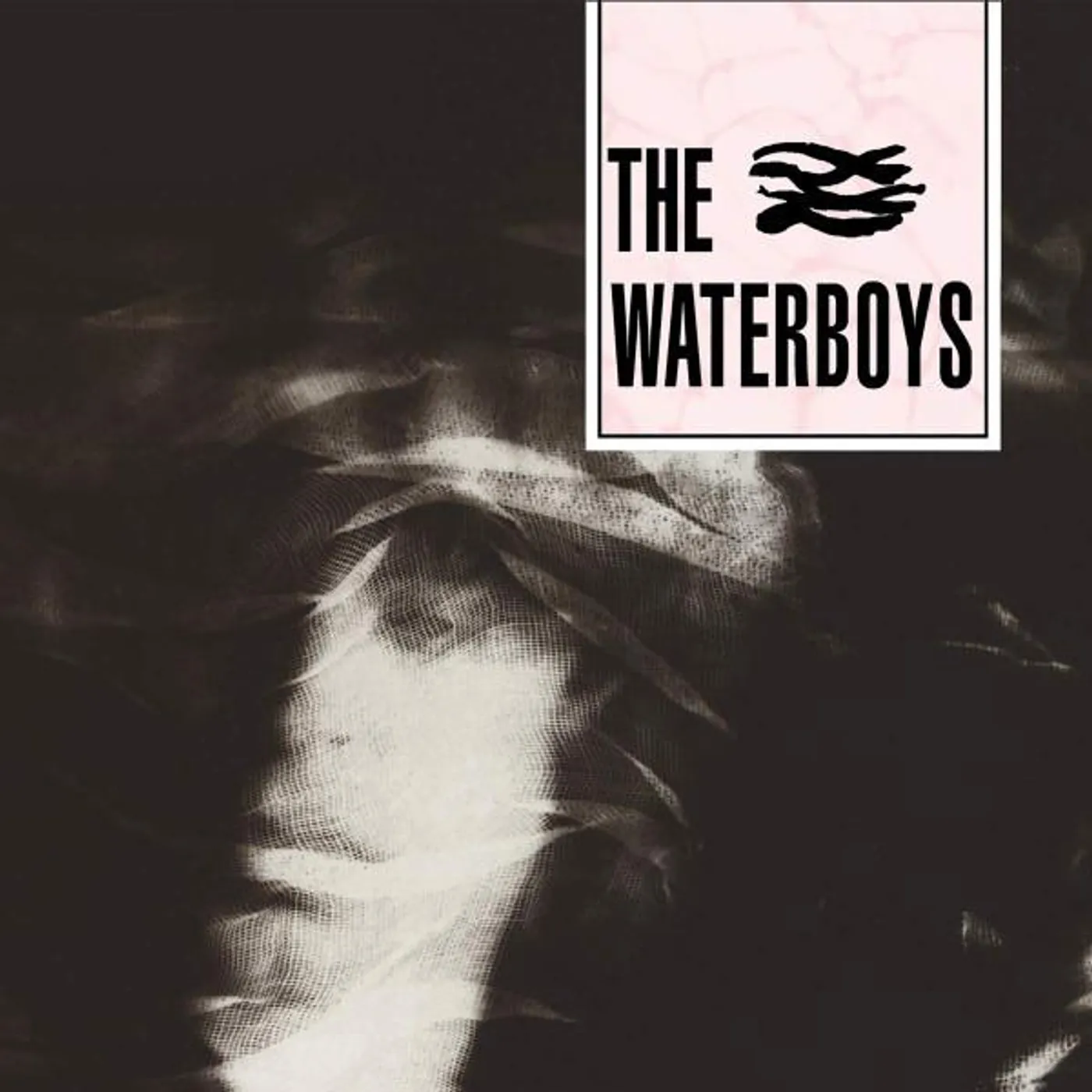 The Waterboys CD