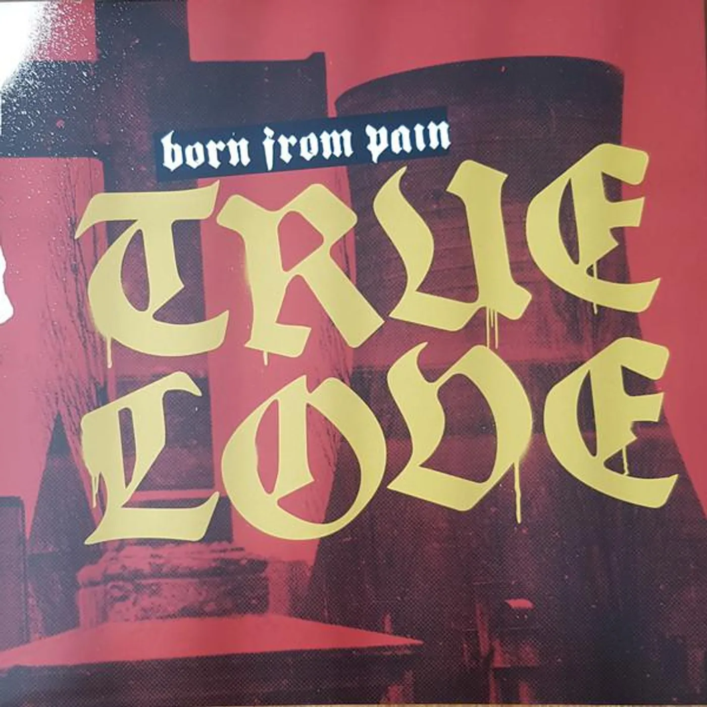 Born From Pain TRUE LOVE Vinyl Record