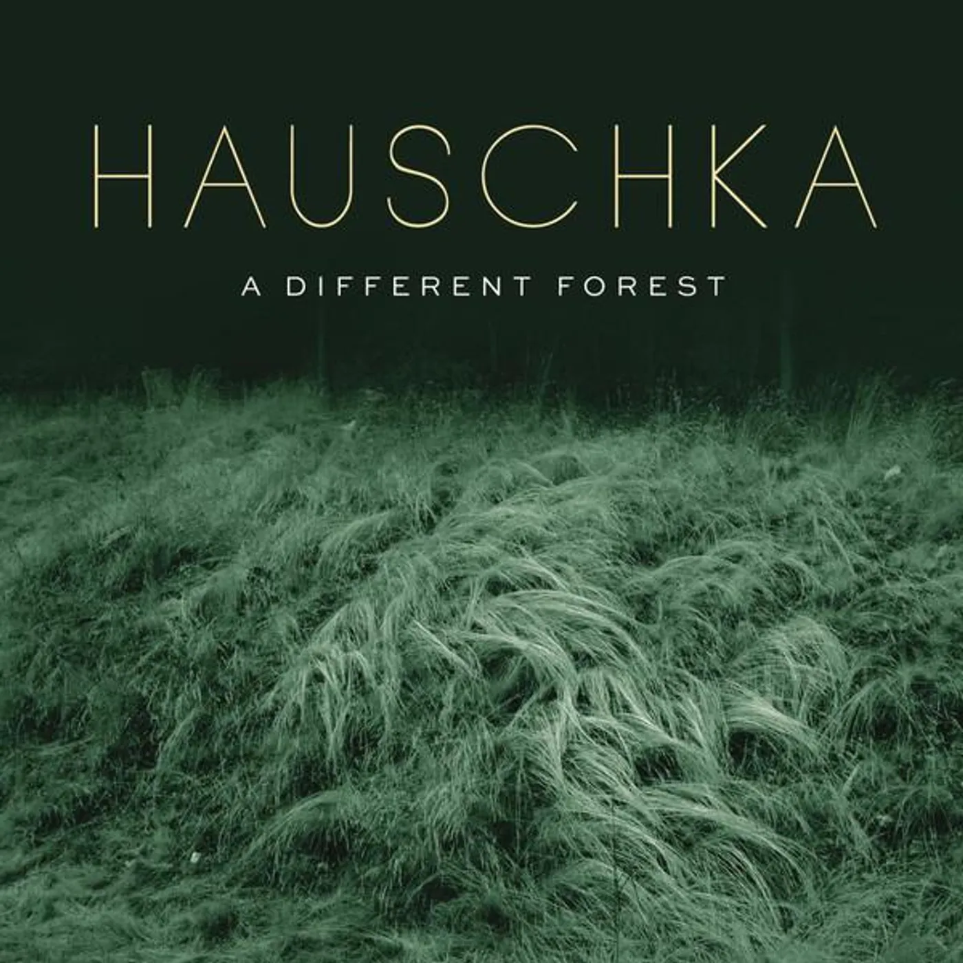 Hauschka DIFFERENT FOREST CD