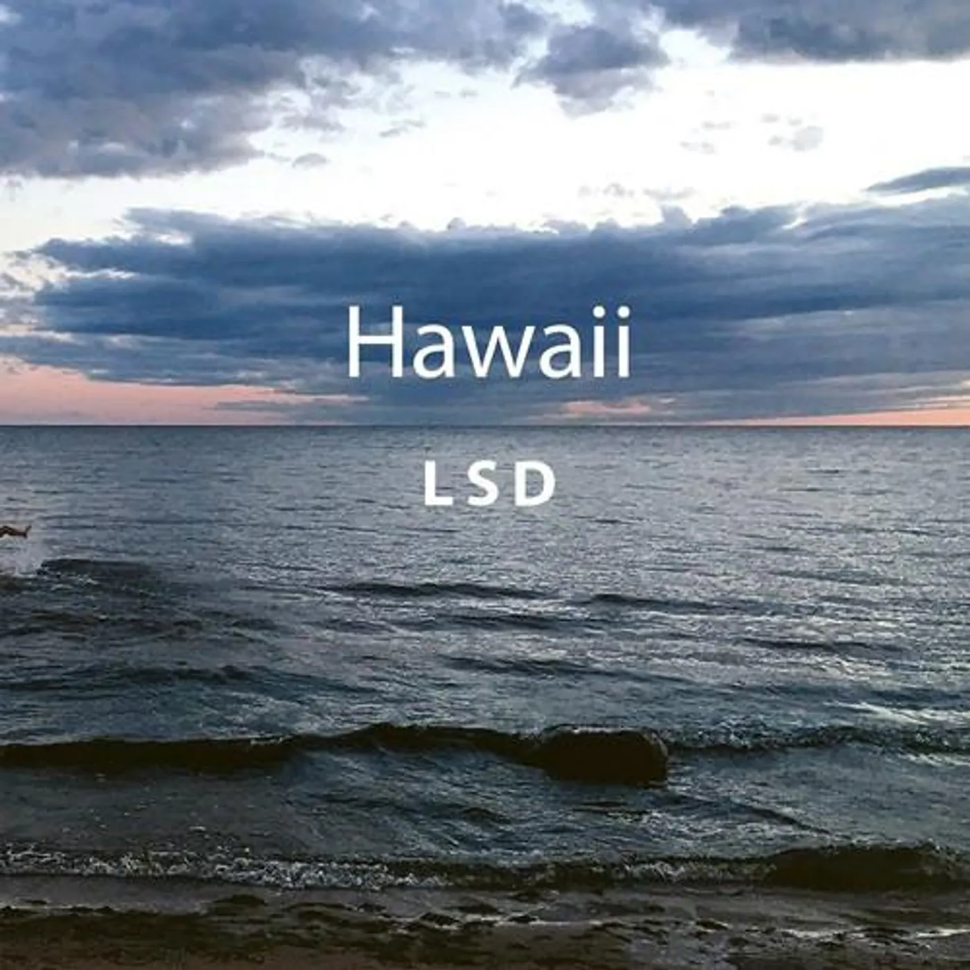 LSD HAWAII Vinyl Record