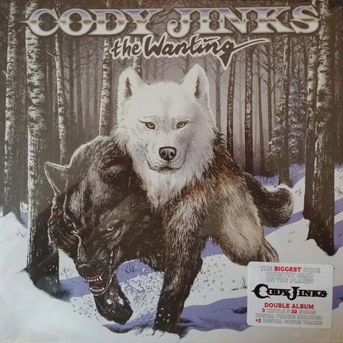Cody Jinks WANTING AFTER THE FIRE (180G/SUNBURST VINYL/DL CARD) Vinyl Record