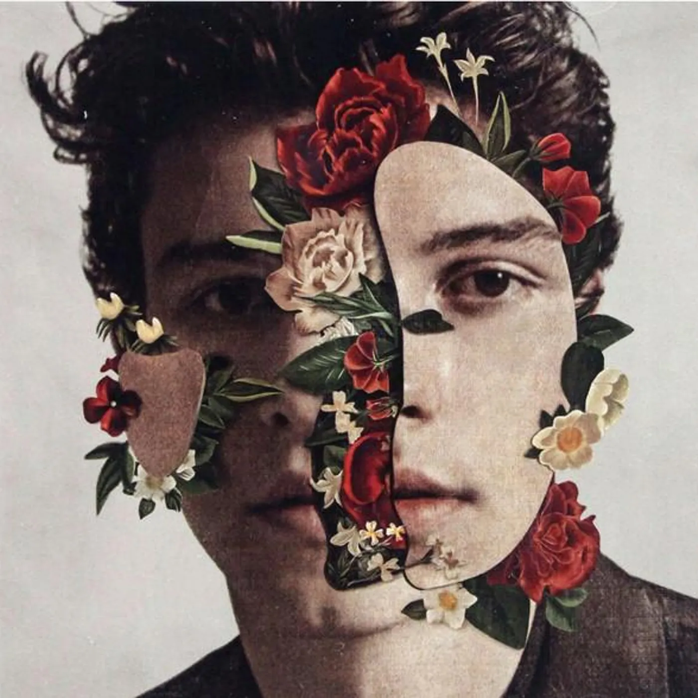 SHAWN MENDES THE ALBUM CD