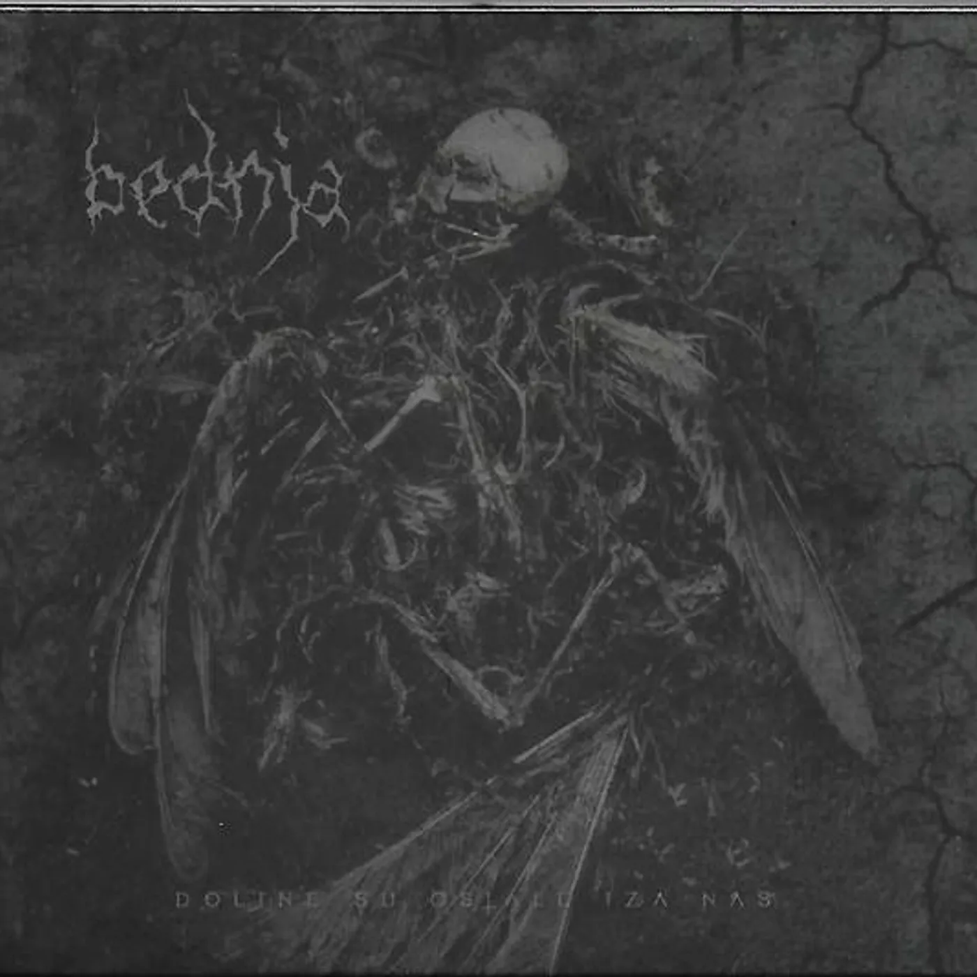 Bednja DOLINE SU OSTALE IZA NAS CD