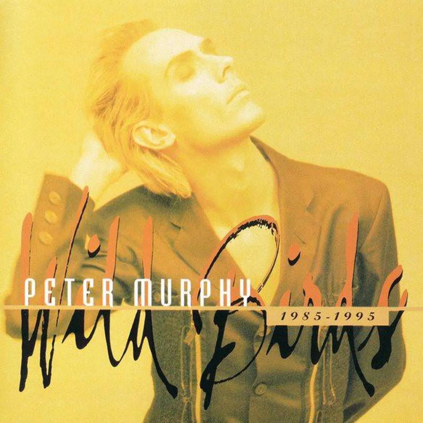 Peter Murphy WILD BIRDS 1985 - 1995: BEST OF CD