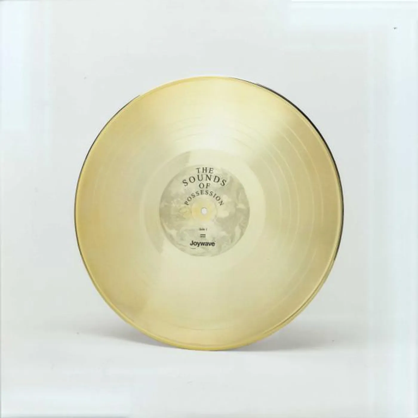 Joywave Possession Vinyl Record