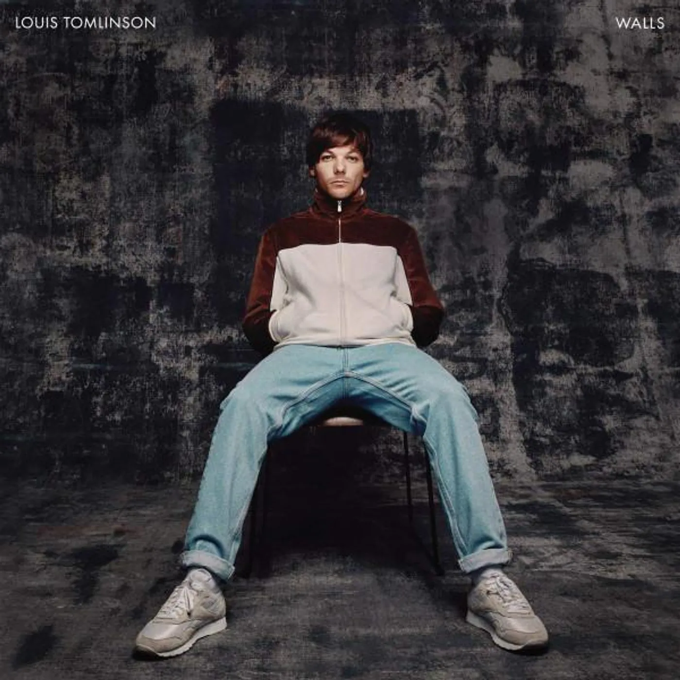 Louis Tomlinson WALLS Vinyl Record