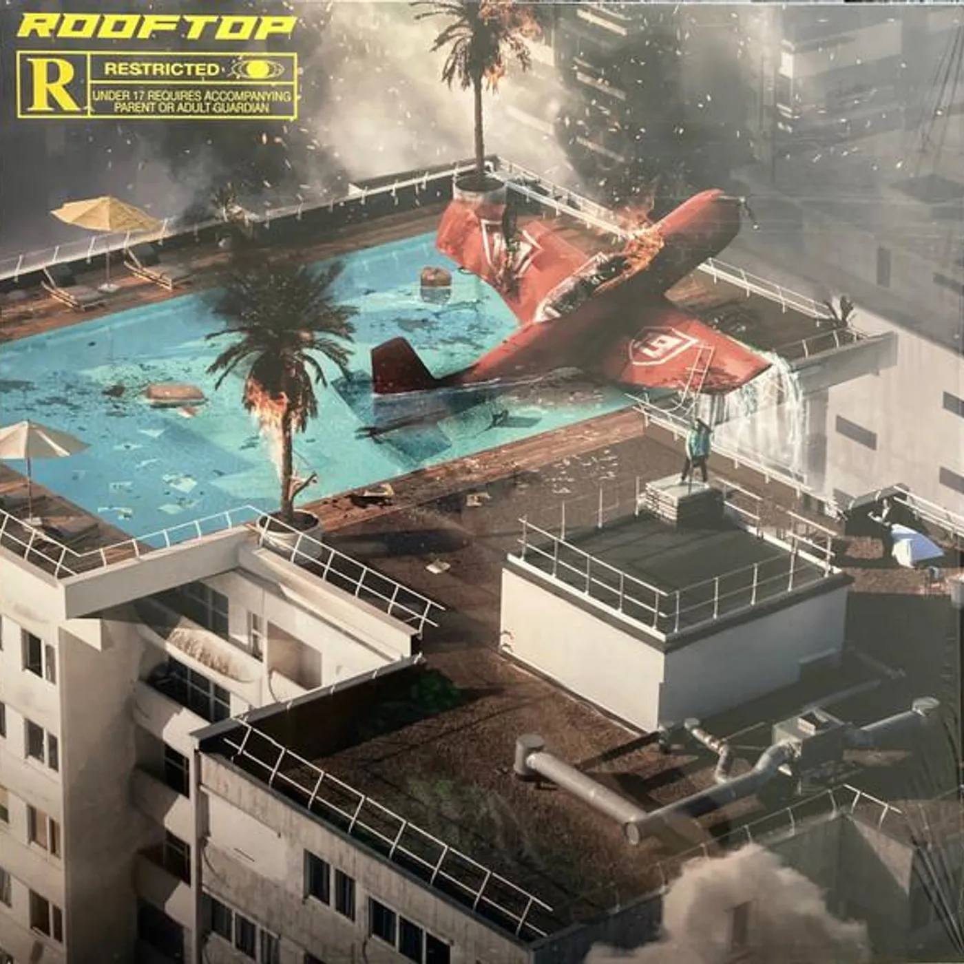 SCH Rooftop Vinyl Record