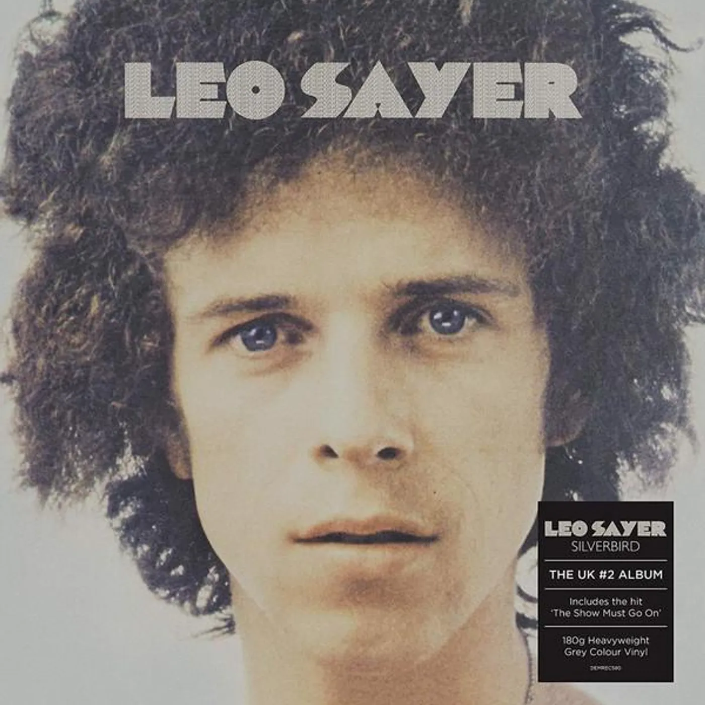 Leo Sayer SILVERBIRD Vinyl Record