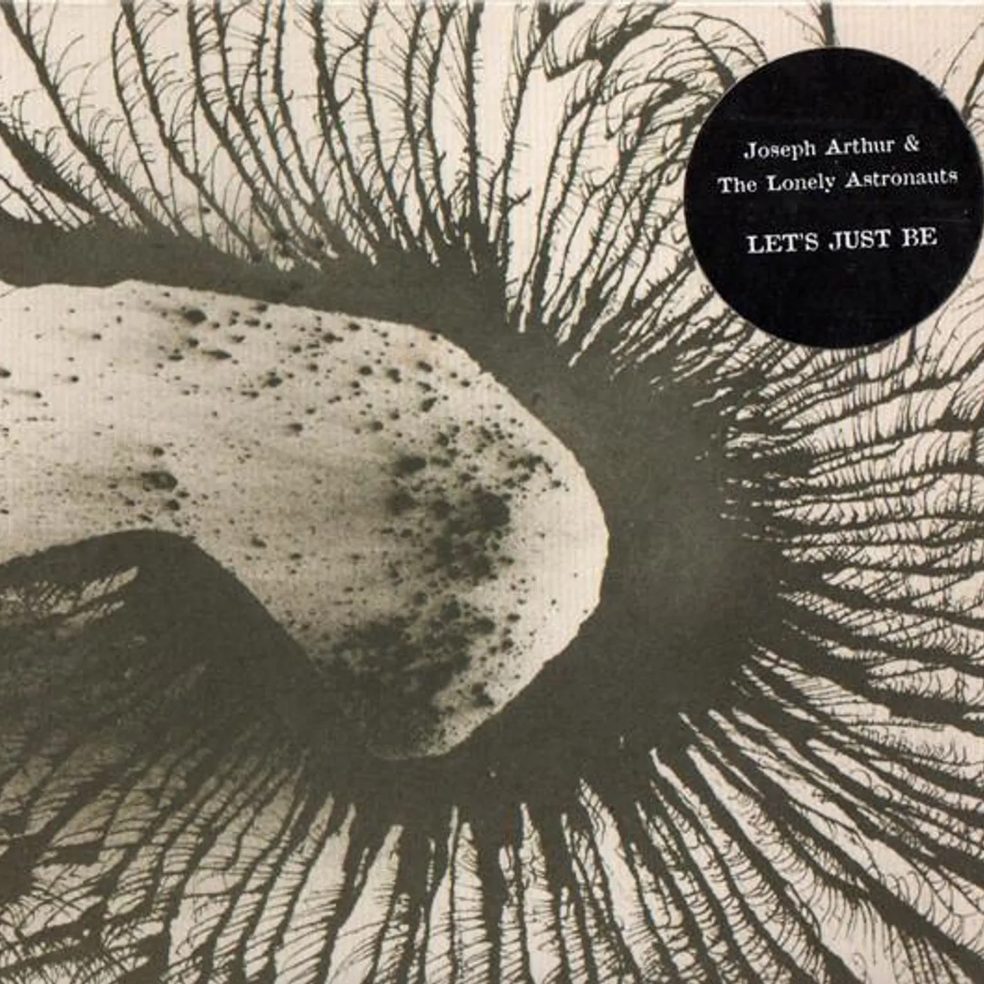 Joseph Arthur Let's Just Be CD