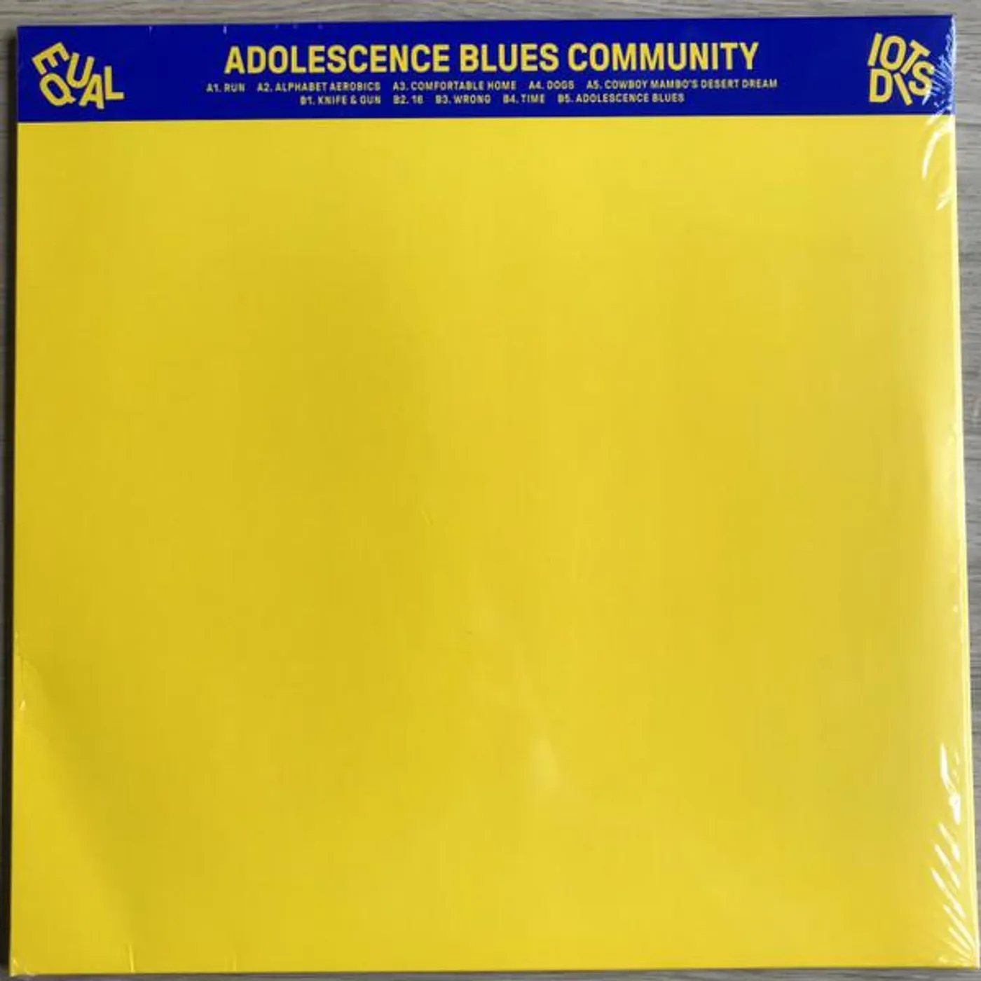 Equal Idiots Adolescence Blues Community Vinyl Record