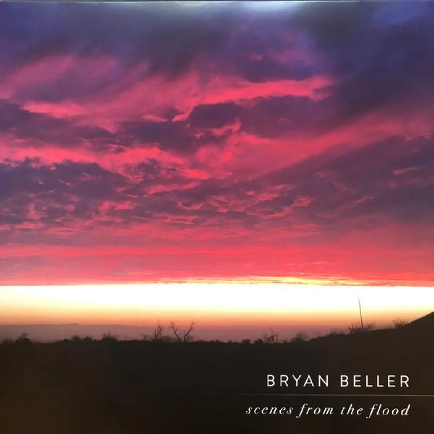 Bryan Beller cenes From The Flood (2LP) Vinyl Record