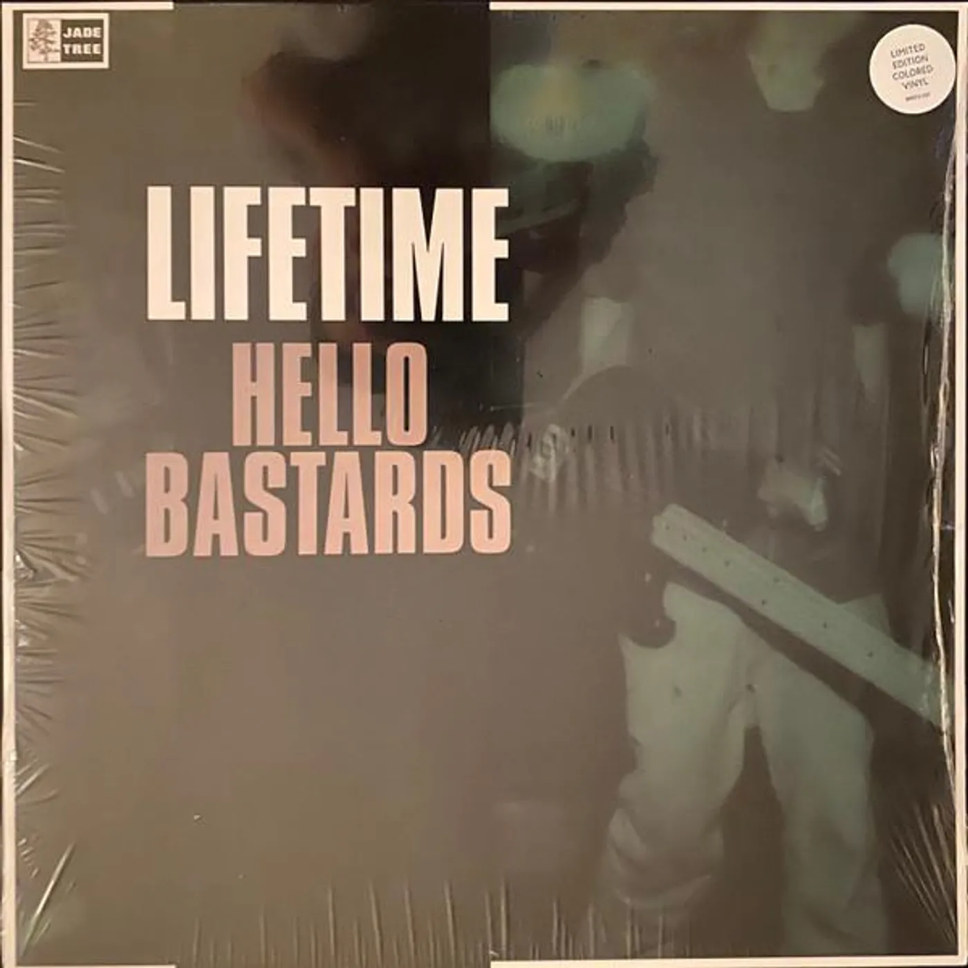 Lifetime HELLO BASTARDS (TRANS CLEAR VINYL) Vinyl Record