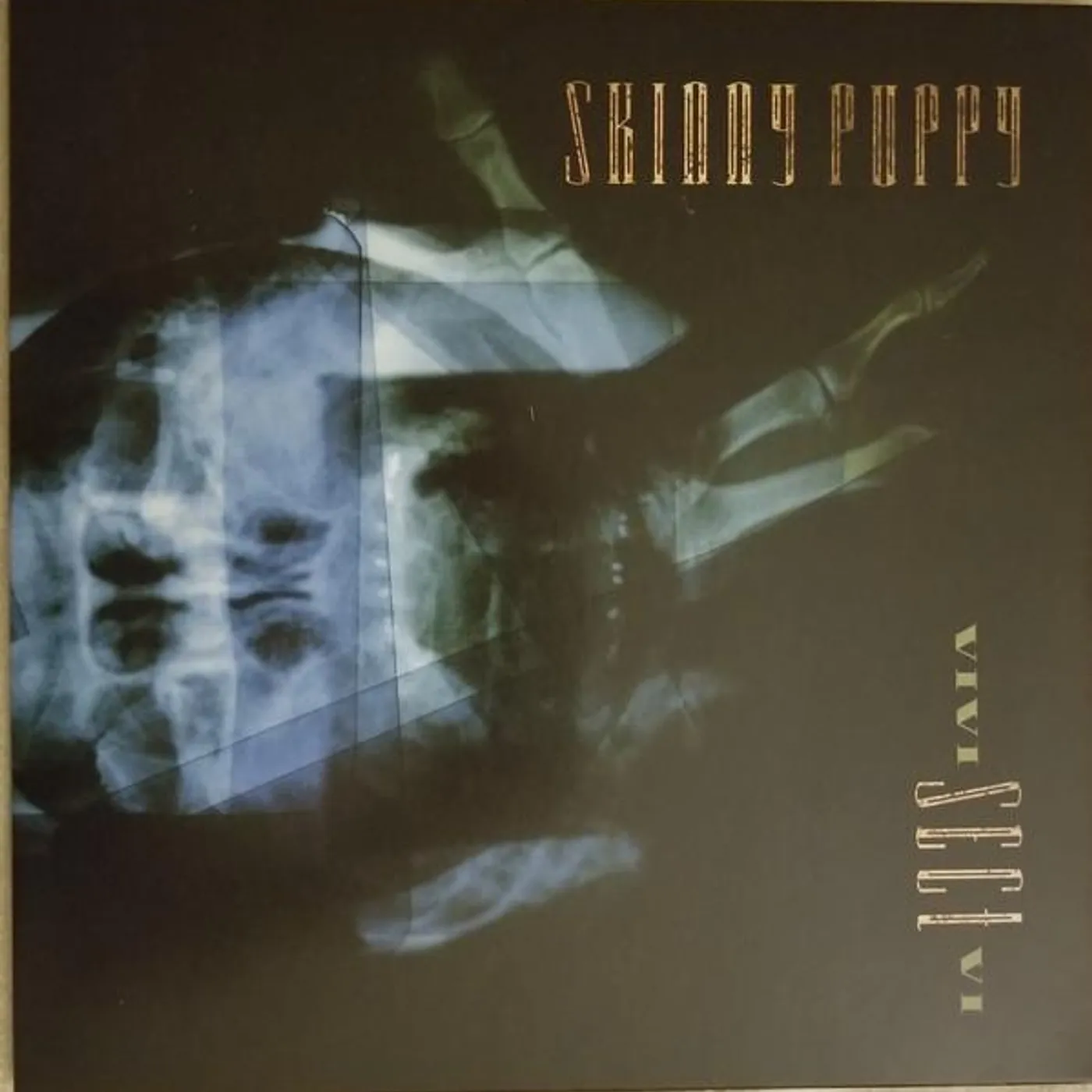 Skinny Puppy VIVI SECT VI Vinyl Record