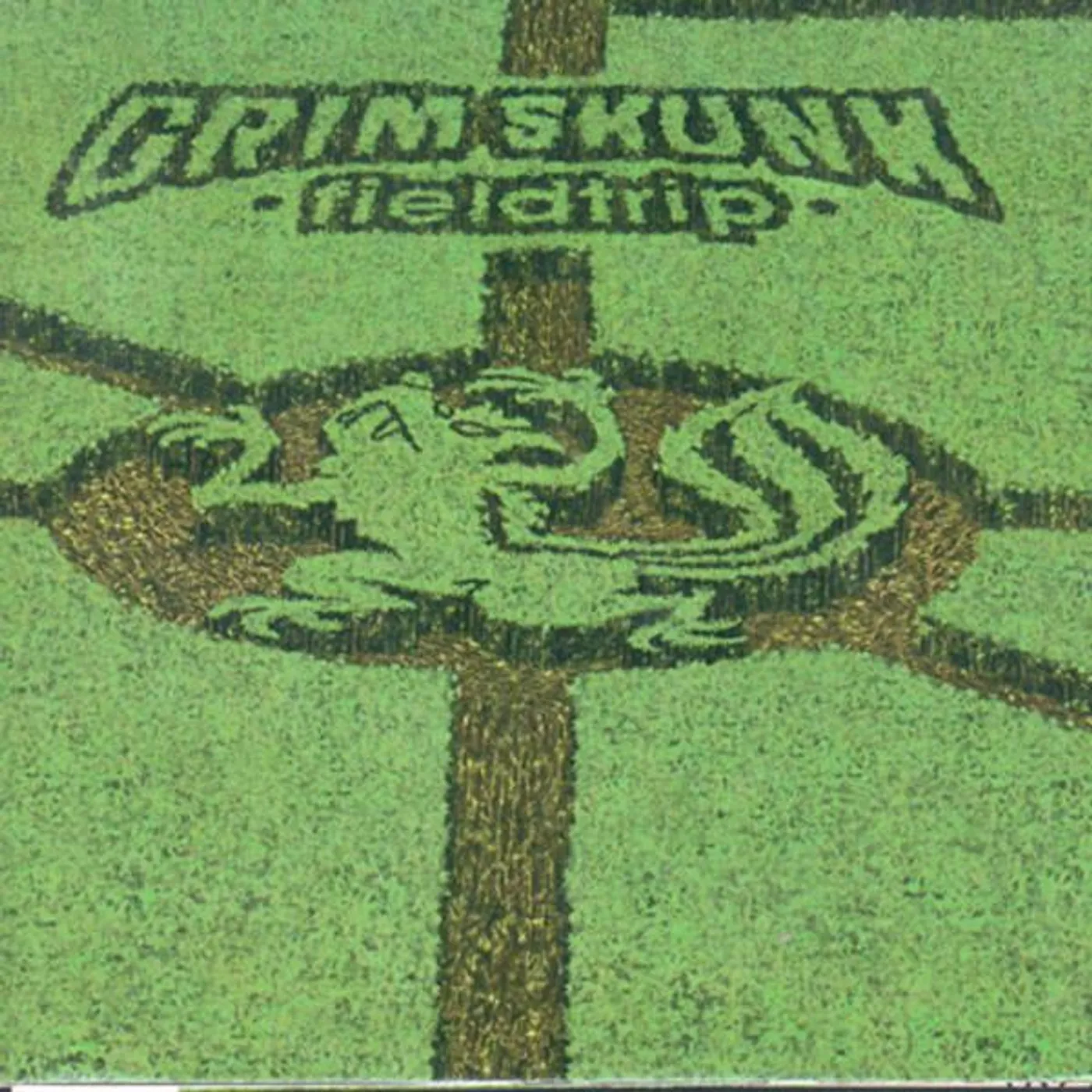 GrimSkunk FIELDTRIP Vinyl Record