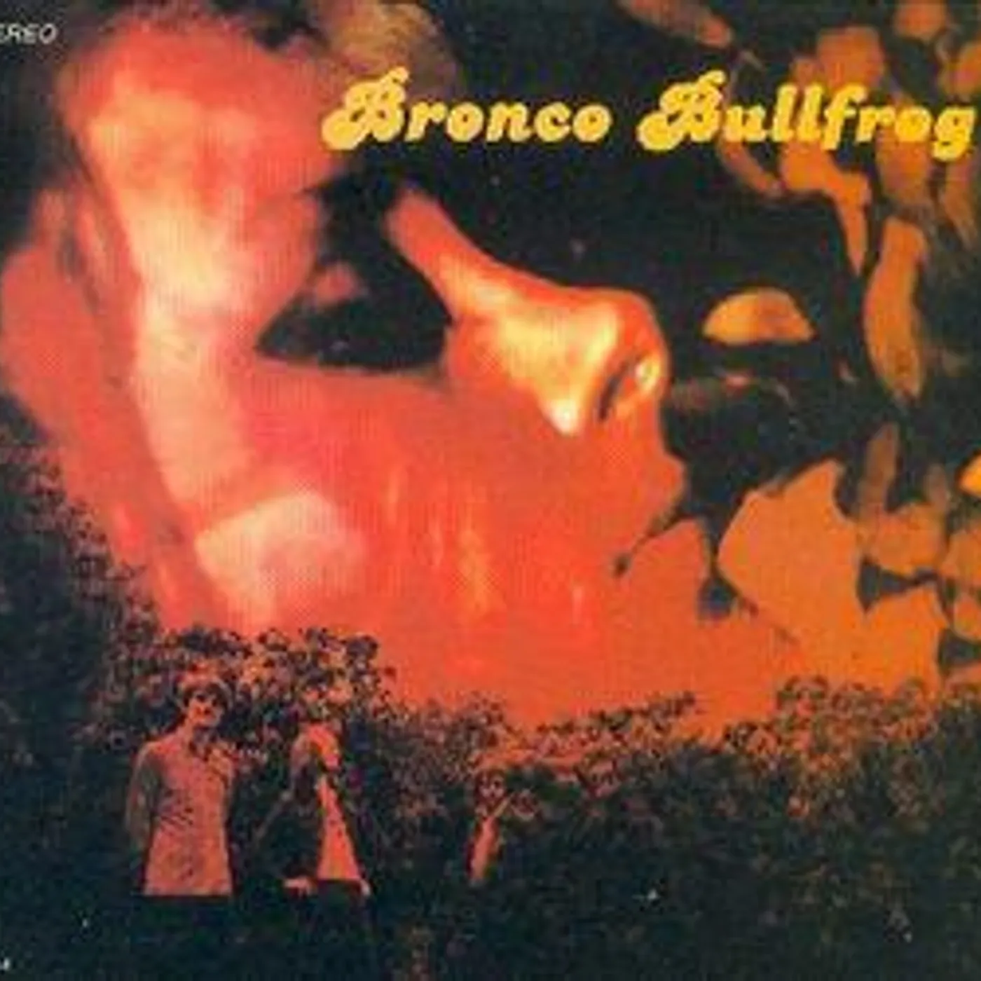 BRONCO BULLFROG CD