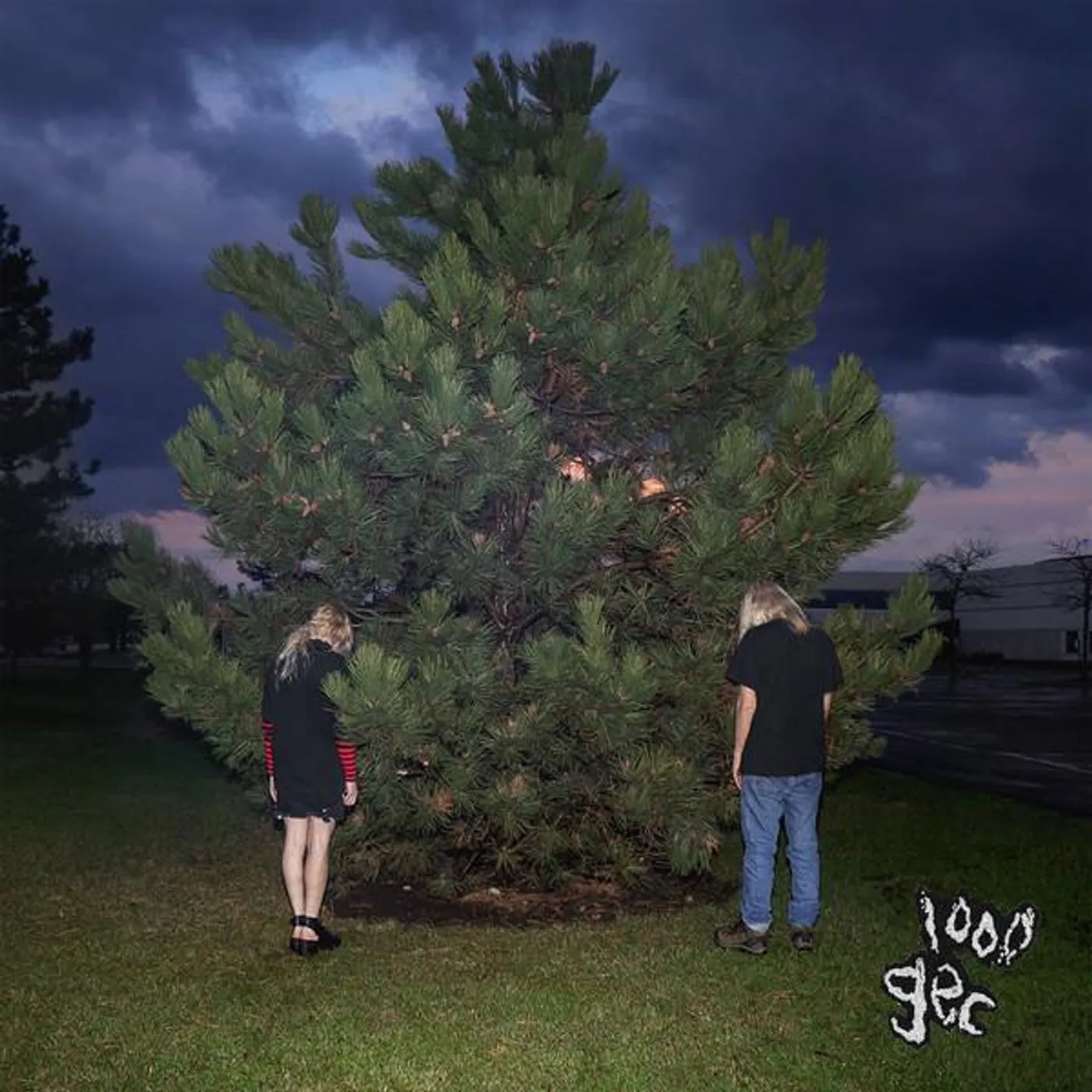 100 gecs 1000 GECS Vinyl Record